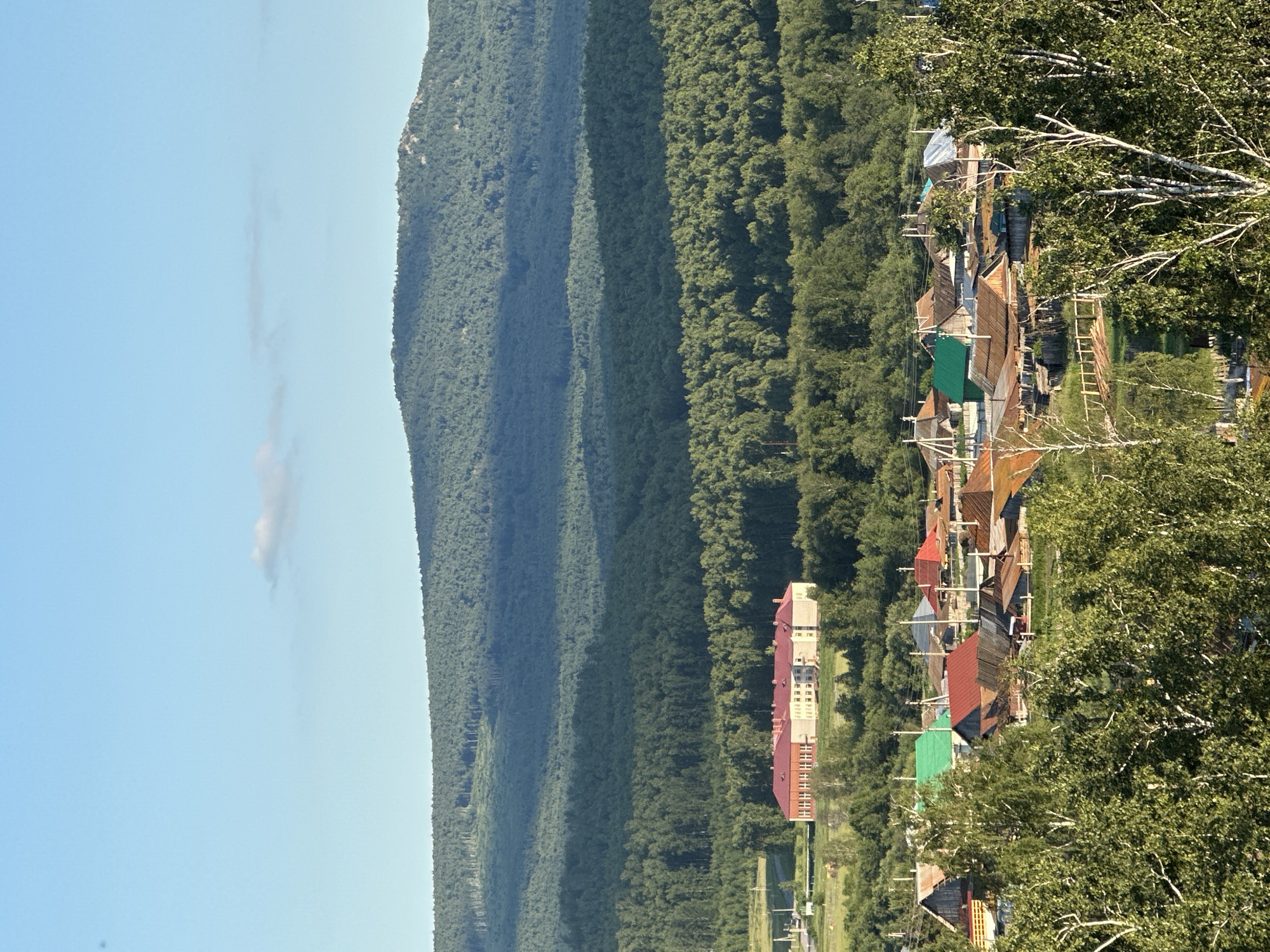 This is a vertical, high-angle shot of a village nestled at the foot of a densely forested mountain range. The sky is a clear, pale blue with a faint, wispy cloud. The mountain slopes are covered in a thick, dark green forest, with lighter green bands suggesting variations in tree cover or terrain.
In the foreground, a cluster of village buildings is visible, characterized by a mix of structures with colorful, weathered roofs in red, green, and brown hues. Some buildings appear to be residential, with wooden exteriors and balconies. One larger building stands out with a light-colored facade and a red roof. The village is surrounded by more greenery, with trees in the foreground and middle ground partially obscuring the view of the houses. The overall scene suggests a rural setting, possibly a small town or hamlet, integrated with the natural landscape. The lighting indicates it is daytime, likely mid-morning or afternoon, given the clear sky and the way sunlight illuminates the scene. There is no visible text in the image.