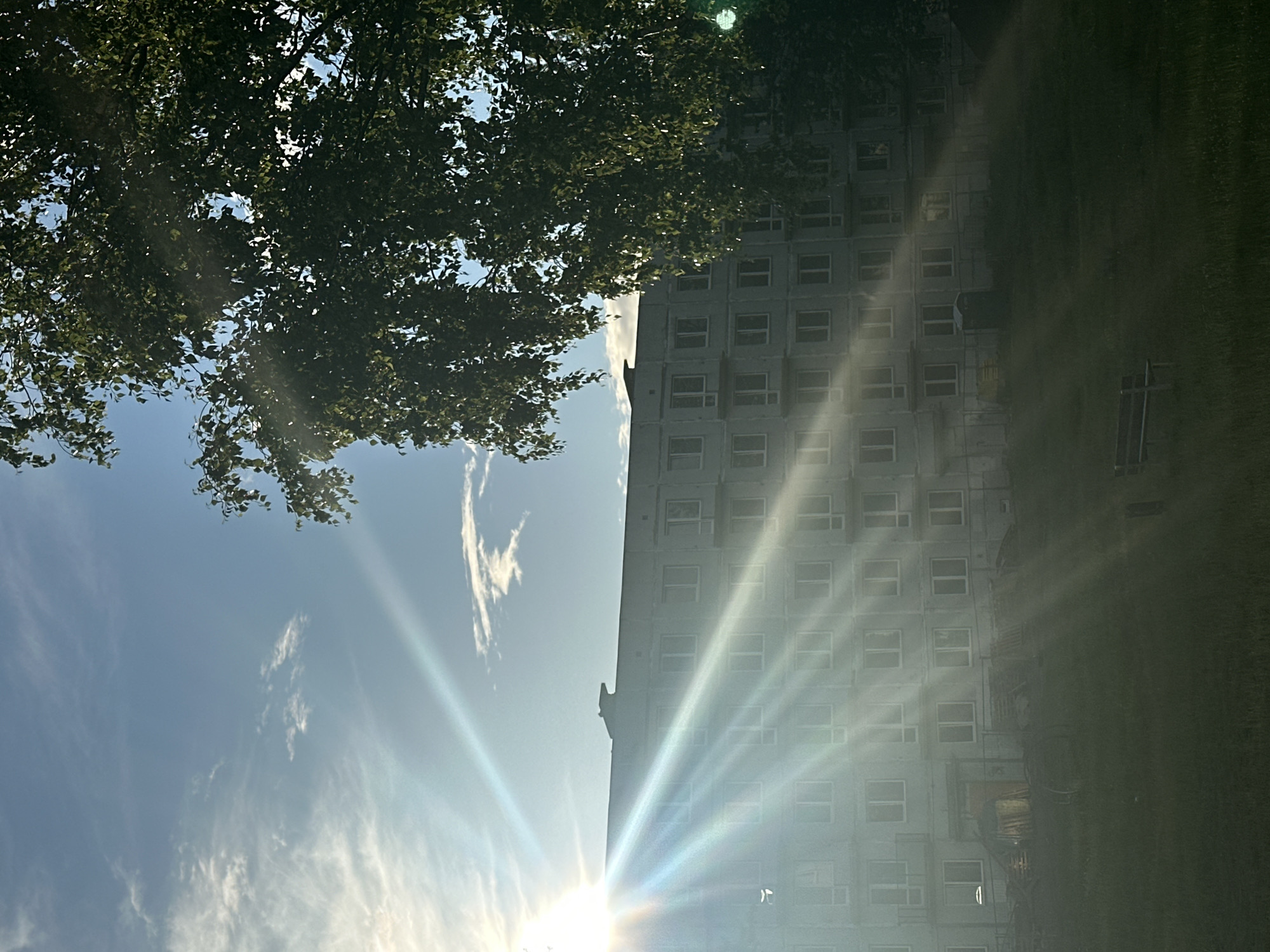 The image depicts a multi-story apartment building, appearing to be under construction or renovation, situated in a grassy area. The building has a light-colored facade and numerous windows. A large, leafy tree dominates the right side of the frame, casting shadows. The sun is low in the sky, creating strong sunbeams that streak across the scene, illuminating the building and the sky. The sky is blue with scattered white clouds. In the foreground, a simple wooden bench is visible on the grass. The overall impression is that of an urban or suburban environment during daylight, likely late afternoon due to the low angle of the sun.