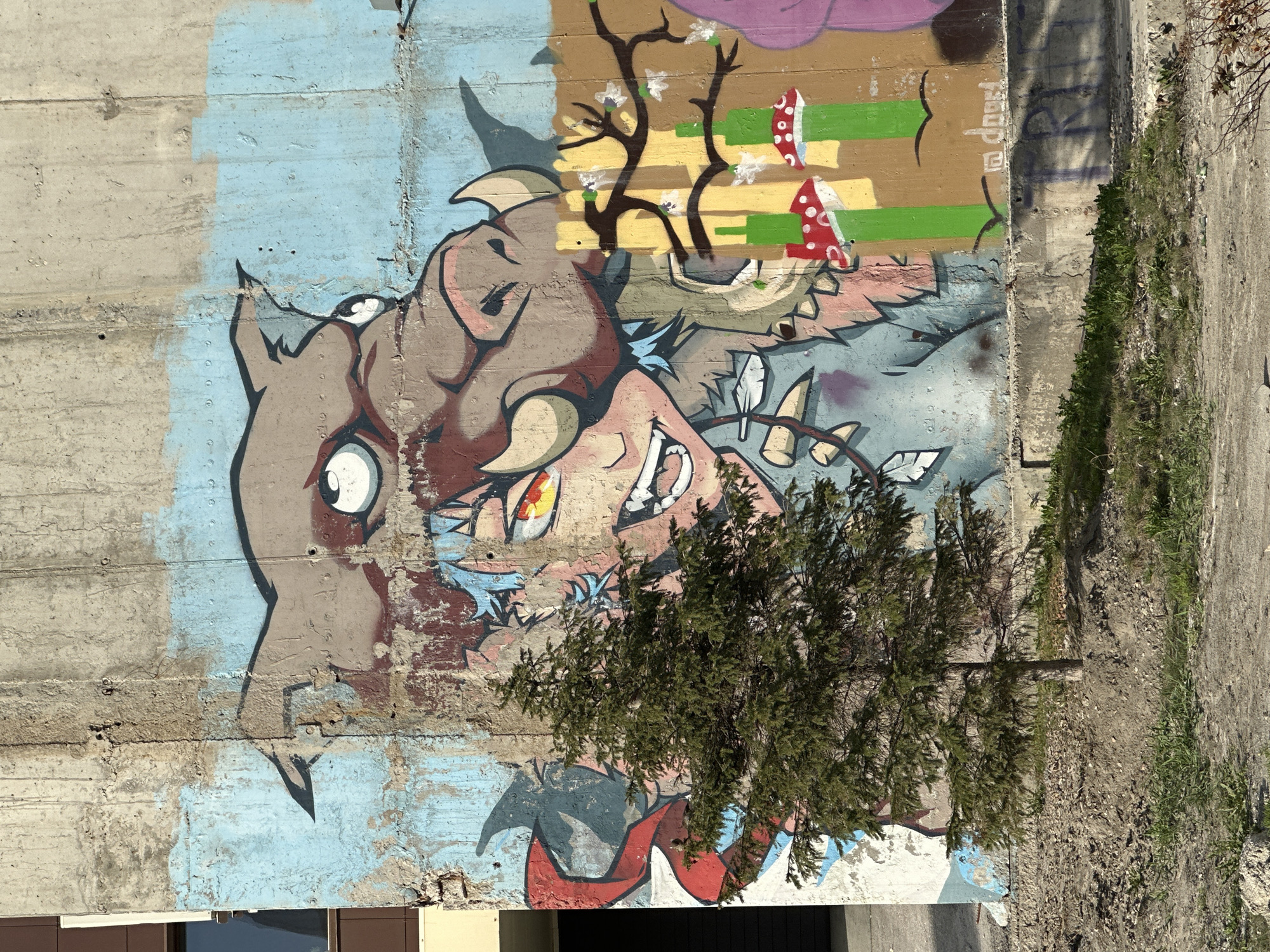 A weathered concrete wall features vibrant graffiti art in Novosibirsk, Russia. The artwork depicts a cartoonish, fantastical creature with distinct, expressive eyes, horns, and sharp teeth. The style incorporates bold lines and a palette of browns, blues, reds, and yellows. The artwork blends with the aged surface of the wall, showing signs of wear and potential prior layers of paint. A small evergreen tree obscures part of the artwork. To the right of the wall is a dirt path with sparse vegetation. Below the wall, there is a partial view of a building with a brown exterior.