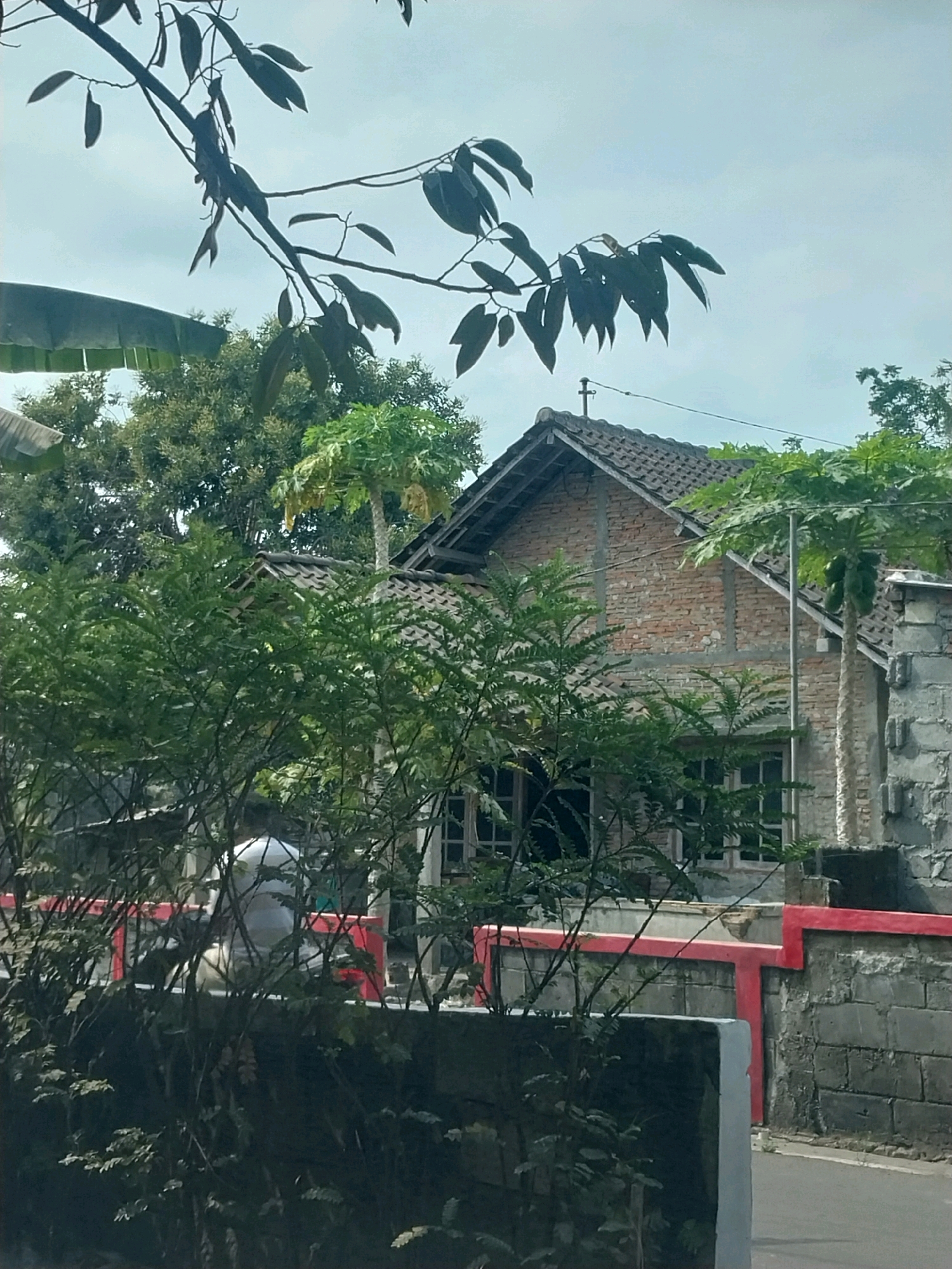 The image depicts a residential street scene in Purwomartani, Indonesia, under an overcast sky. A brick house with a tiled roof is visible behind a low wall. In front of the house, a papaya tree with green fruit stands to the right, and various trees and foliage obscure parts of the structure and the wall. The wall itself is constructed of gray concrete blocks and features a red painted accent. A portion of a white circular object, possibly a water tank, is visible behind the wall and vegetation. A paved road runs alongside the wall. The foreground is dominated by dense green foliage, with a tree branch extending from the top left corner of the frame, its leaves silhouetted against the sky.