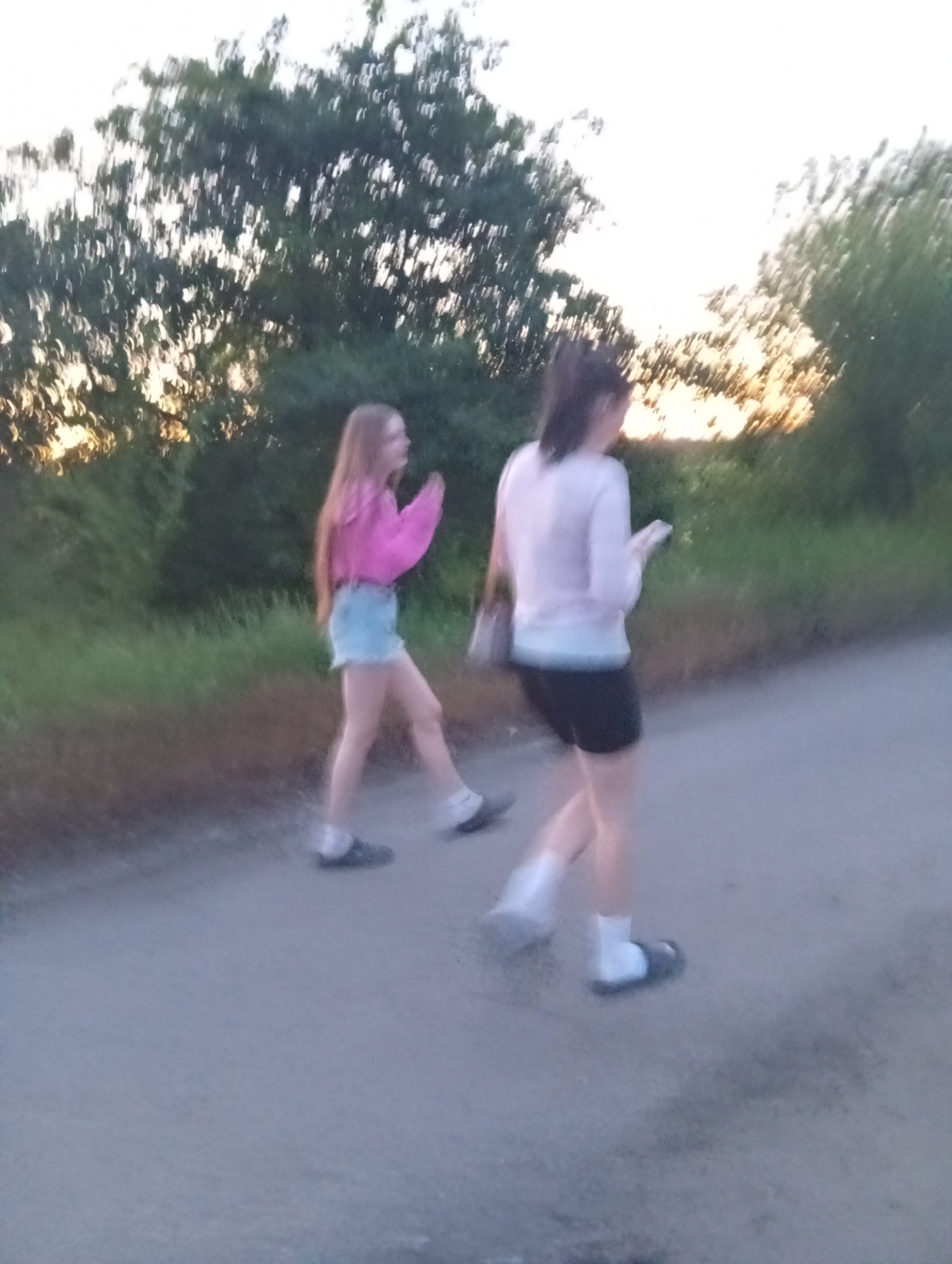 Two young women are walking on a paved road. The woman on the left has long hair, is wearing a pink shirt, and light-colored shorts. The woman on the right has her hair up, is wearing a light-colored shirt, and dark shorts. There is greenery on both sides of the road, including trees and grass. The background suggests it's dusk or dawn.
The location (Fediivka, Ukraine) cannot be determined from the image.