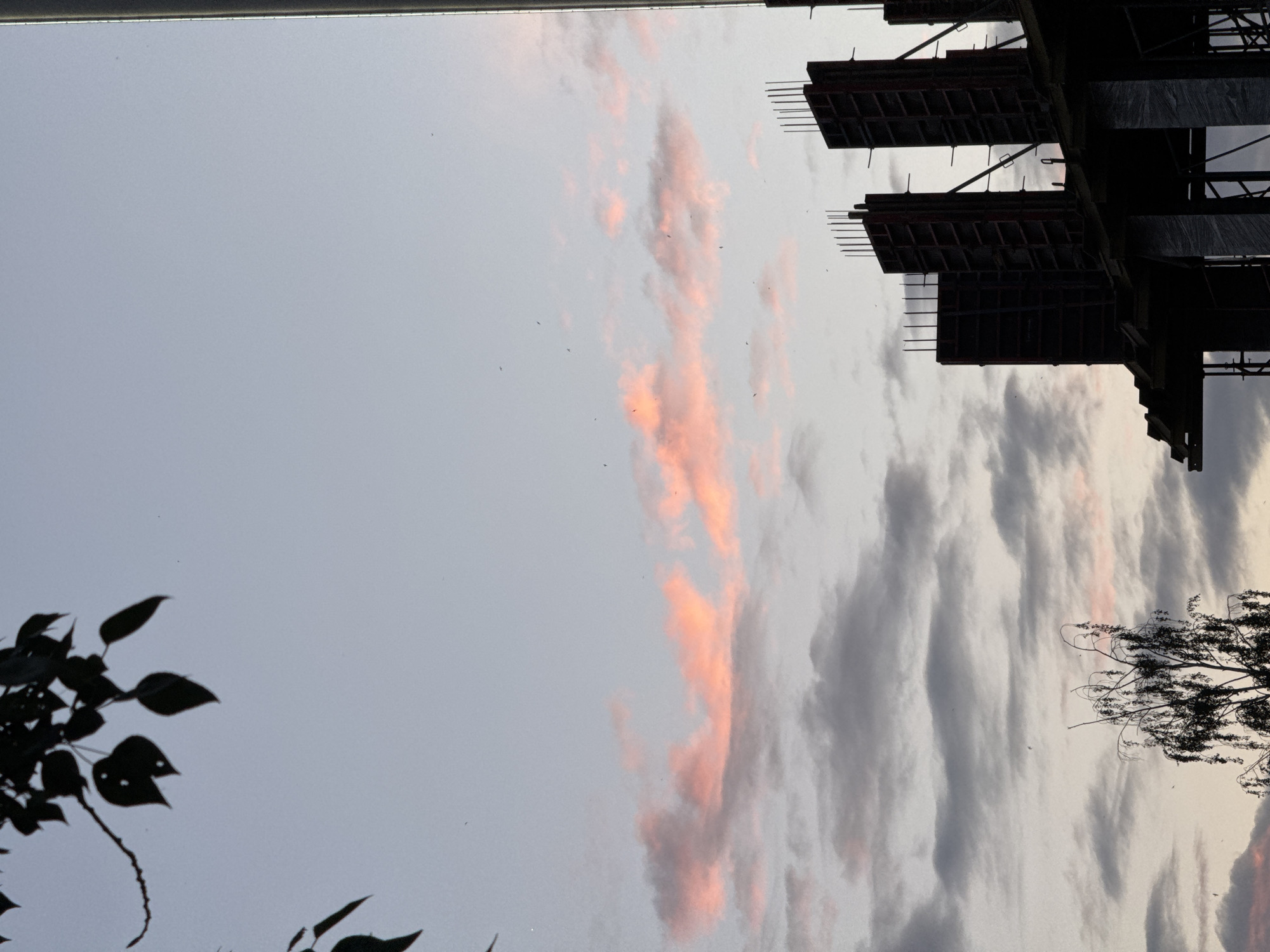 The image shows a construction site with unfinished buildings against a twilight sky. In the foreground, silhouetted structures rise against the horizon, revealing rebar and scaffolding. The sky is a gradient of soft blues and grays, with streaks of pink and orange clouds catching the last light of day. Dark tree branches are visible in the upper left corner, framing the scene. The overall impression is one of ongoing development in an urban environment. The location is stated as Izhevsk, Russia.