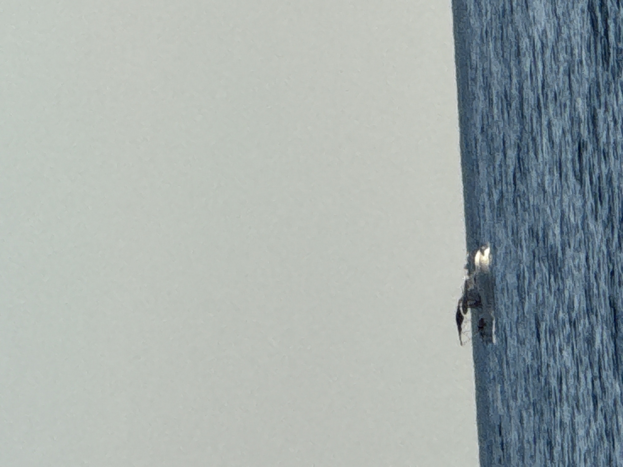 A boat is moving across the water. The sky is overcast. The image is taken from a distance. The location is the city of Kamenovo, Montenegro.