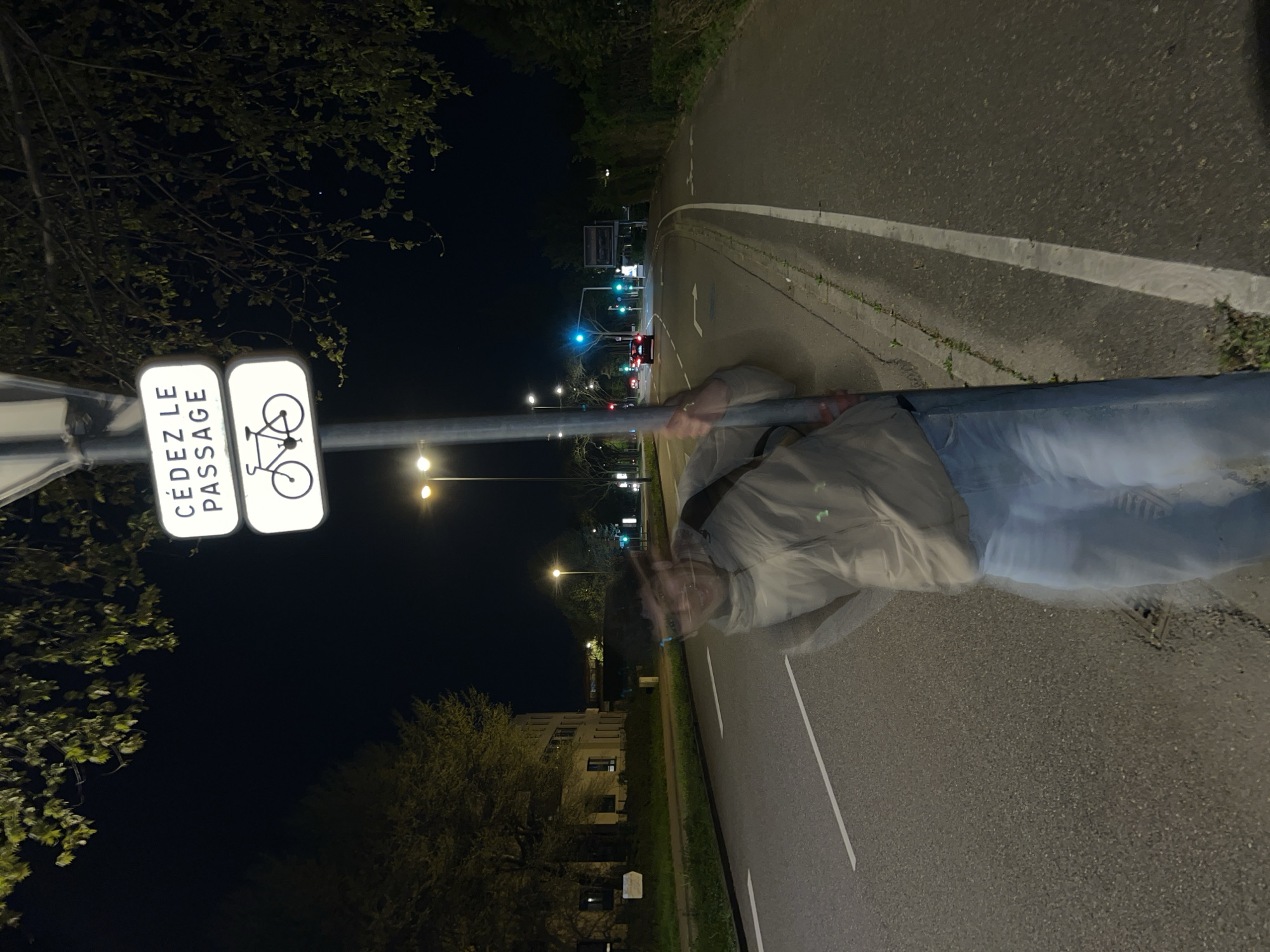 A blurry photograph taken at night shows a street scene in Hoenheim, France. A man, appearing as a blurred motion, stands beside a metal pole that supports a bicycle crossing sign, which includes the text "CEDEZ LE PASSAGE." The pole and sign are situated beside a road with lane markings. Streetlights illuminate the road and surrounding buildings. In the distance, traffic signals and car headlights are visible. Trees line the side of the road.