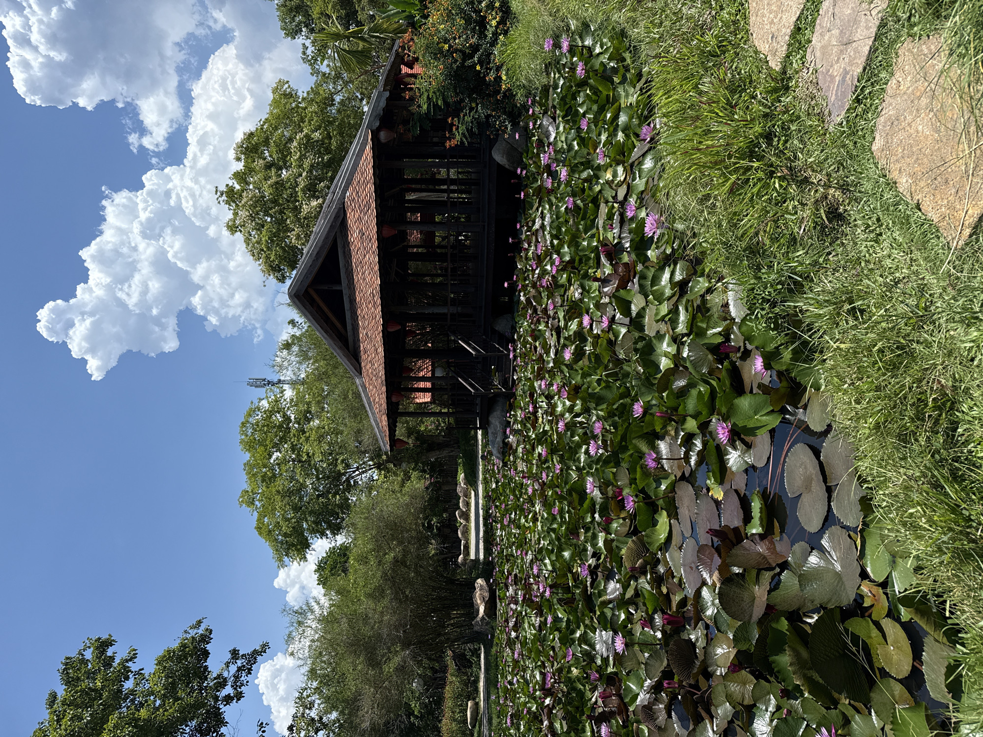 The image shows a serene outdoor scene, possibly a garden or park. A wooden structure with a tiled roof stands beside a pond filled with water lilies, which have numerous purple flowers. The pond is surrounded by lush greenery and a stone pathway. The sky above is bright blue with puffy white clouds. The location is Tay Nha Trang Ward, Vietnam. There are no people visible in the image.