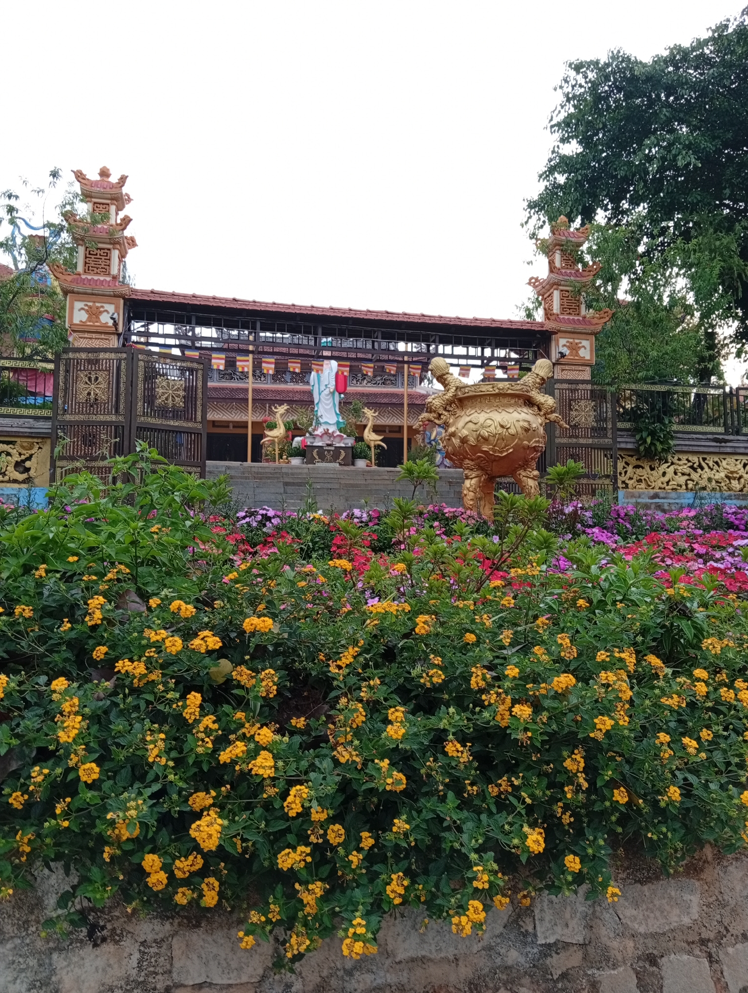 This image captures the vibrant and serene entrance of a Buddhist temple, likely located in Cam Ly - Đà Lạt, Vietnam, under a bright, clear sky.
In the foreground, a dense array of lush green bushes covered in clusters of bright yellow flowers, possibly Lantana camara, cascades over a rough stone wall. Behind these, a colorful bed of various flowers in shades of pink, red, and purple extends towards the temple entrance.
The midground features prominent religious elements. To the right, a large, golden, ornate incense burner, intricately decorated with dragon motifs, stands among the flowers. To the left, a tall, white statue, likely Guanyin (Quan Am), is visible with a blue sash, standing gracefully on a lotus pedestal. This statue is flanked by two smaller golden deer figurines. Behind these, an elaborate temple gate, possibly made of dark wood or metal, is adorned with golden decorative patterns and geometric designs. Small, multicolored prayer flags are strung along the gate and the building structure behind it.
Flanking the temple entrance are two ornate, multi-tiered pagodas with reddish-brown roofs and intricate carvings, framing the view. The main temple building, with its reddish-brown tiled roof and traditional architecture, is visible in the background. Green foliage from large trees can be seen on the upper left and right sides of the frame, contrasting with the bright, almost white, sky. The scene appears tranquil, with no human activity visible. There is no discernible text present in the image.