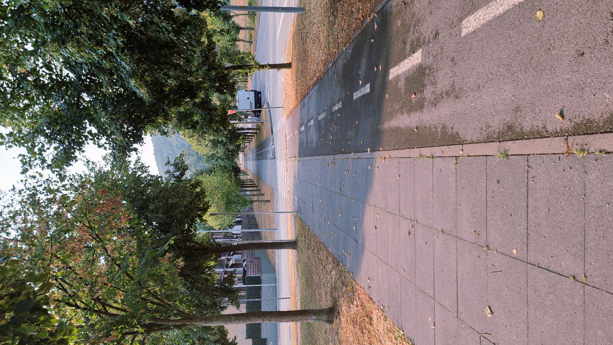 The image shows a paved sidewalk and a bicycle lane on the left side of a street lined with trees in Sant Joan Les Fonts, Spain. The sidewalk is composed of gray concrete slabs with scattered leaves and small weeds growing through the cracks. Adjacent to the sidewalk is a bicycle lane marked with white dashed lines. The street itself is asphalt and appears to have been recently wet, with reflections visible on its surface. A white van is parked on the right side of the street, and in the background, a wooded hill can be seen. The time of day appears to be late afternoon or early evening, indicated by the long shadows cast by the trees across the sidewalk. The overall scene is tranquil and urban.