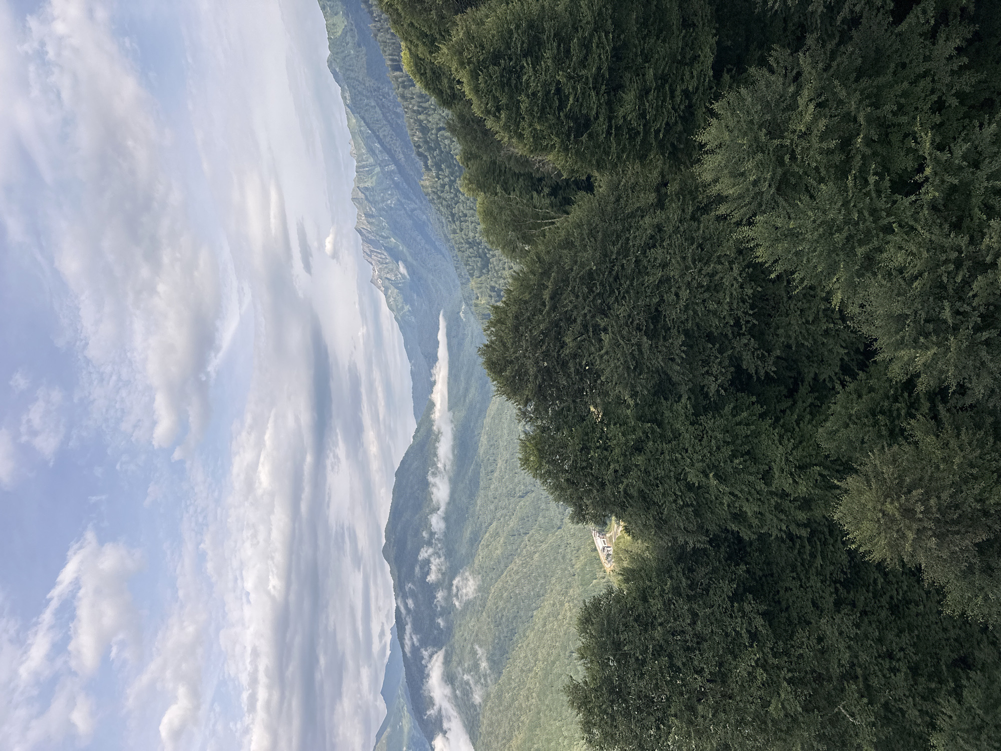 The image depicts a panoramic view of the mountainous landscape surrounding Estosadok, Russia. In the foreground, a dense canopy of lush green trees dominates the lower portion of the frame. Beyond the trees, rolling green hills and mountains stretch into the distance, partially obscured by a layer of soft, white clouds that hug the slopes. Further back, jagged mountain peaks pierce the sky, their rugged surfaces etched with shadows. The sky above is a pale blue, dotted with scattered white clouds. A small, industrial-looking building or complex can be seen nestled in a valley between the mountains, suggesting a human presence within the natural environment. The overall scene is one of natural grandeur, with a serene and somewhat dramatic atmosphere.