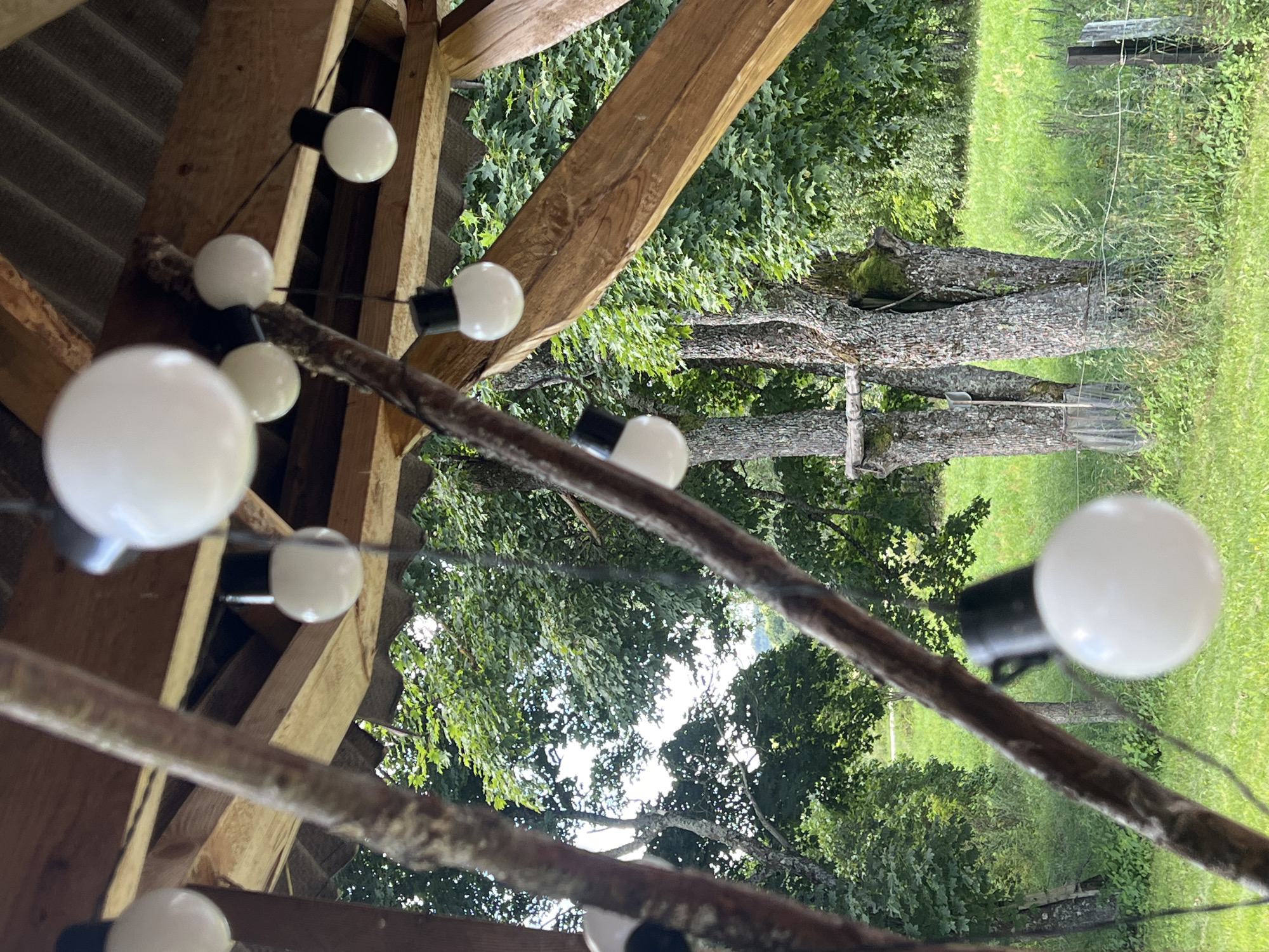 In Norviliškės, Lithuania, a close-up shot focuses on a rustic wooden structure adorned with a string of white globe lights. The lights hang from black cords, some attached to wooden beams and branches, creating a decorative outdoor lighting display. Beyond the structure, lush green trees and a grassy field are visible, suggesting a natural, possibly rural setting. The lighting in the image is natural, likely daylight, casting soft shadows. No people are present in the frame.