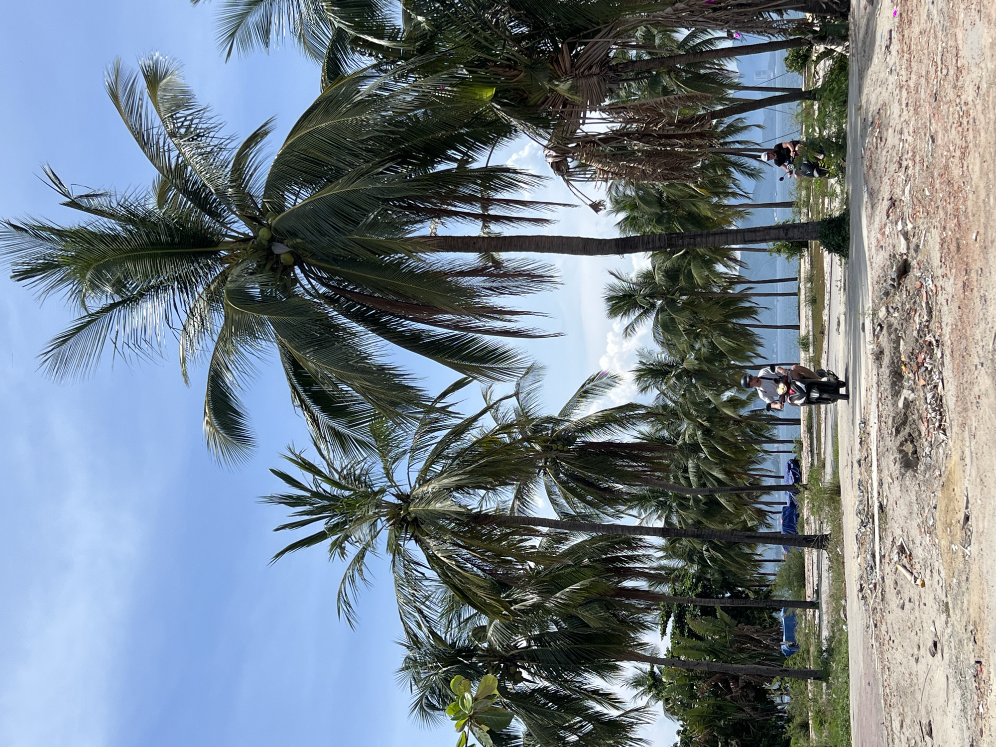 The image depicts a street scene in Nha Trang Ward, Vietnam, characterized by numerous tall palm trees lining a coastal area. In the foreground, a dirt road with debris and construction materials is visible. Two individuals are riding motorbikes. The person on the left is wearing a white t-shirt and black helmet, while the person on the right is wearing a dark t-shirt and white helmet. Both are moving away from the viewer. In the background, the ocean and a distant shoreline with vegetation can be seen under a bright, partly cloudy sky. Several structures covered with blue tarps are also present in the middle ground.