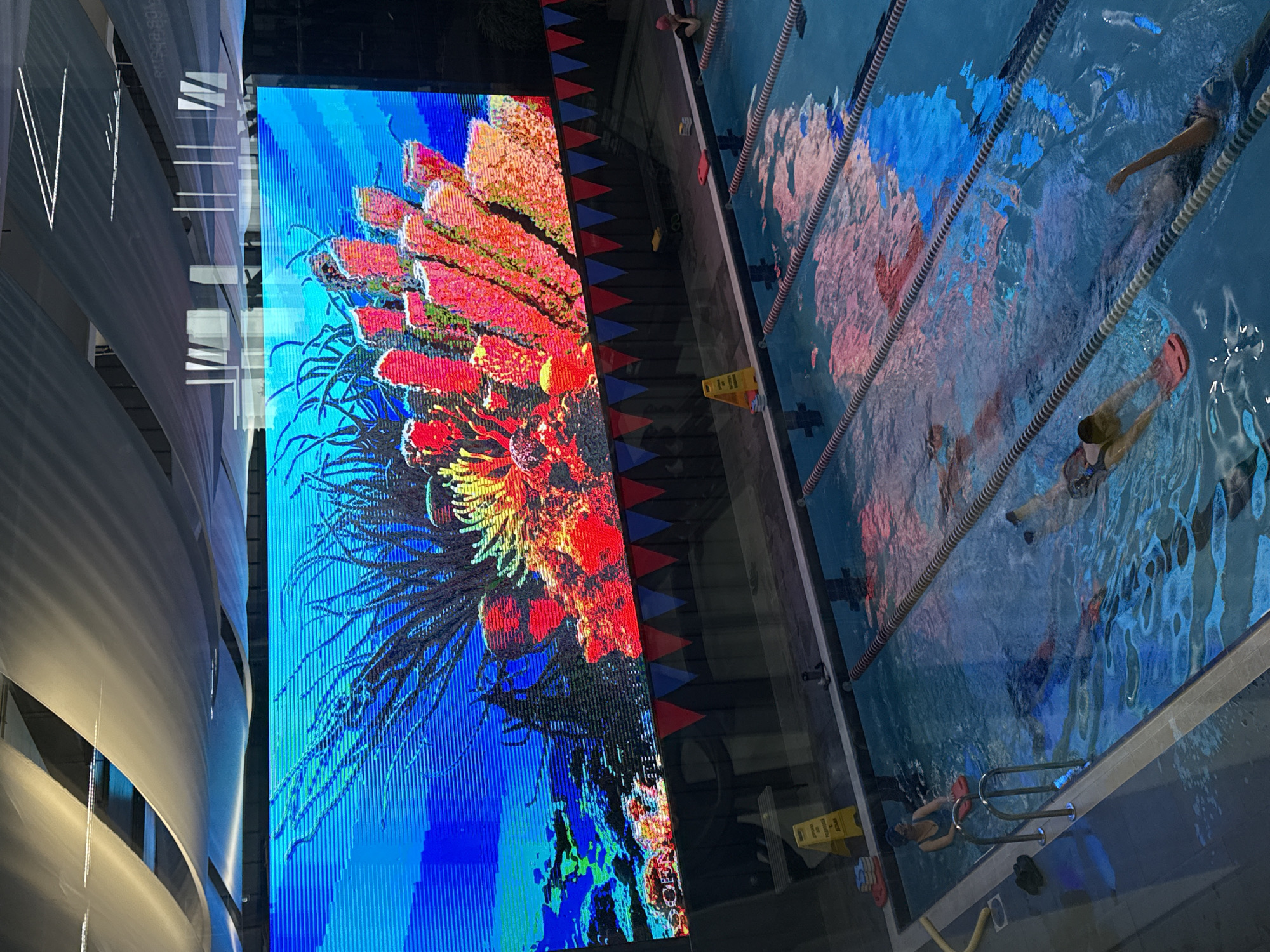 This forensic description details an indoor swimming pool facility in Votkinsk, Russia.
The scene captures an indoor swimming pool with multiple lanes, illuminated by both overhead lighting and a massive LED screen serving as a vibrant backdrop. The LED screen dominates the upper half of the image, displaying an intricate underwater coral reef scene with vivid blues, reds, oranges, and greens, and noticeable horizontal scanning lines.
Above the LED screen, the ceiling features draped white fabric sections, creating a curved, undulating architectural element, with exposed structural beams and recessed lighting fixtures. Reflections of these ceiling elements are visible in the upper right, suggesting a glass partition or reflective surface in the foreground or background. Below the LED screen, a banner of small red and blue triangular pennants is strung across a dark wall.
The swimming pool occupies the lower half of the image. Its water is a clear blue, reflecting the vibrant colors of the LED screen above. Dark lane lines segment the pool. Around the pool edge, the flooring appears to be light-colored tile or concrete. A metallic two-rung ladder is positioned at the left side of the pool, providing entry and exit.
Several objects are present poolside:
* A yellow A-frame "Caution Wet Floor" sign is prominently displayed on the left, bearing Cyrillic text "ОСТОРОЖНО МОКРЫЙ ПОЛ" (Caution Wet Floor) and "ВНИМАНИЕ ОПАСНОСТЬ" (Attention Danger).
* A pair of black sandals rests near the ladder.
* A red rectangular kickboard is placed on the pool deck near the sign.
* A dark-colored bench is positioned beneath the pennant banner, to the right of the yellow sign, holding several small white objects, possibly towels or additional swimming aids.
Approximately six to seven individuals are in the pool, engaged in swimming or water activities:
* On the far left, a person wearing a blue swim cap and dark swimsuit stands in the shallower water, holding a red kickboard.
* Further into the pool, multiple swimmers are spread across lanes, some actively swimming with their faces submerged, others partially visible. One swimmer appears to be using a red kickboard.
* Towards the right side of the pool, a person wearing a pink swim cap rests at the edge of the pool.
The overall environment suggests a modern, well-maintained recreational or athletic facility.