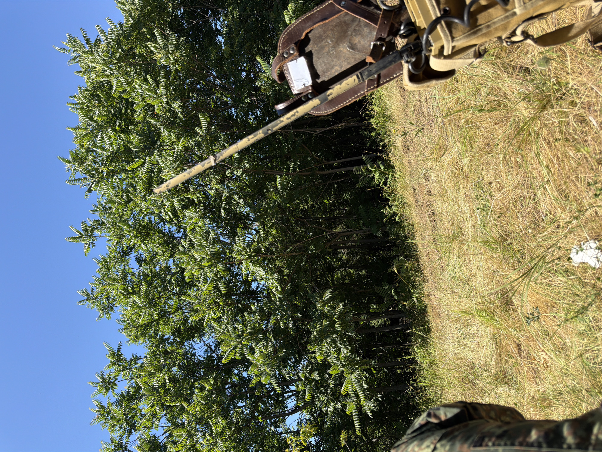 The image depicts a close-up view of a person in camouflage clothing, sitting in dry, sunlit grass. In the foreground, to the right, is a piece of equipment with a leather holster and a metal plate, attached to a canvas bag. A weathered, painted pole extends upwards from this equipment. In the background, a dense line of green trees under a clear blue sky suggests a rural or forested area. The scene is likely located outdoors, in a natural environment. The specific location in Samovodene, Bulgaria, cannot be determined solely from the visual information present in the image.