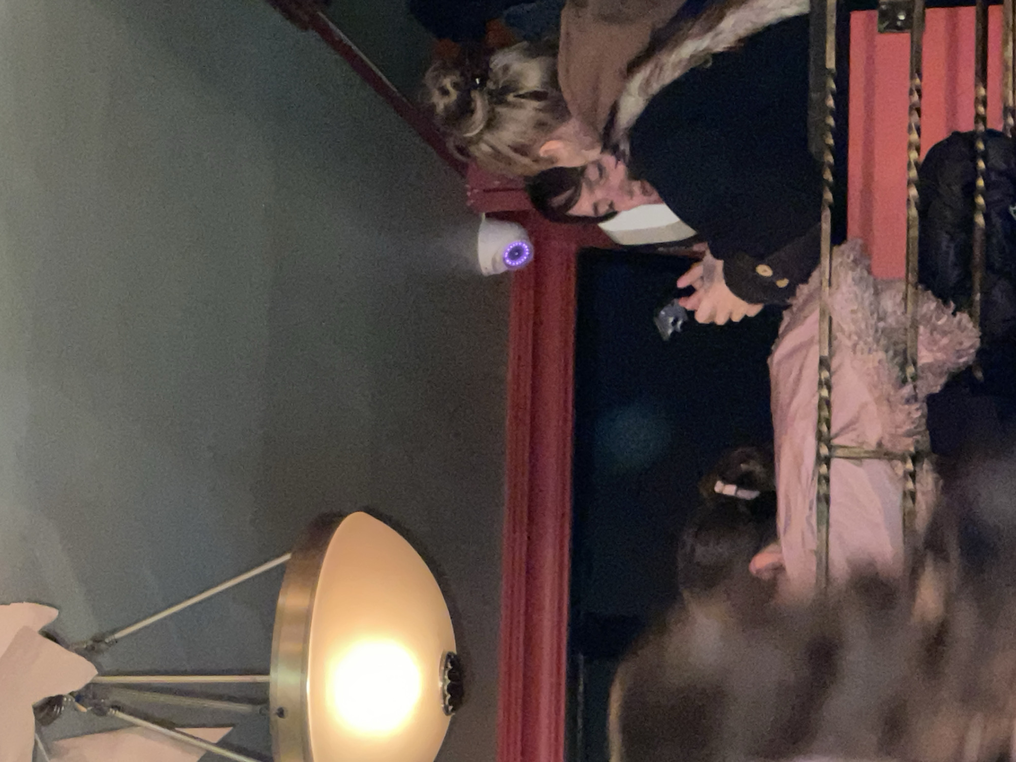 A medium shot, taken at night, depicts a woman, wearing a jacket with fur trim, who is holding a small metallic object, seemingly taking a photo or video, next to a security camera with a purple light. The woman is standing next to a pink curtain and an iron gate. Adjacent to the camera is a wall lamp with a round, golden frame. The specific location in Moscow, Russia, cannot be determined from the provided image.