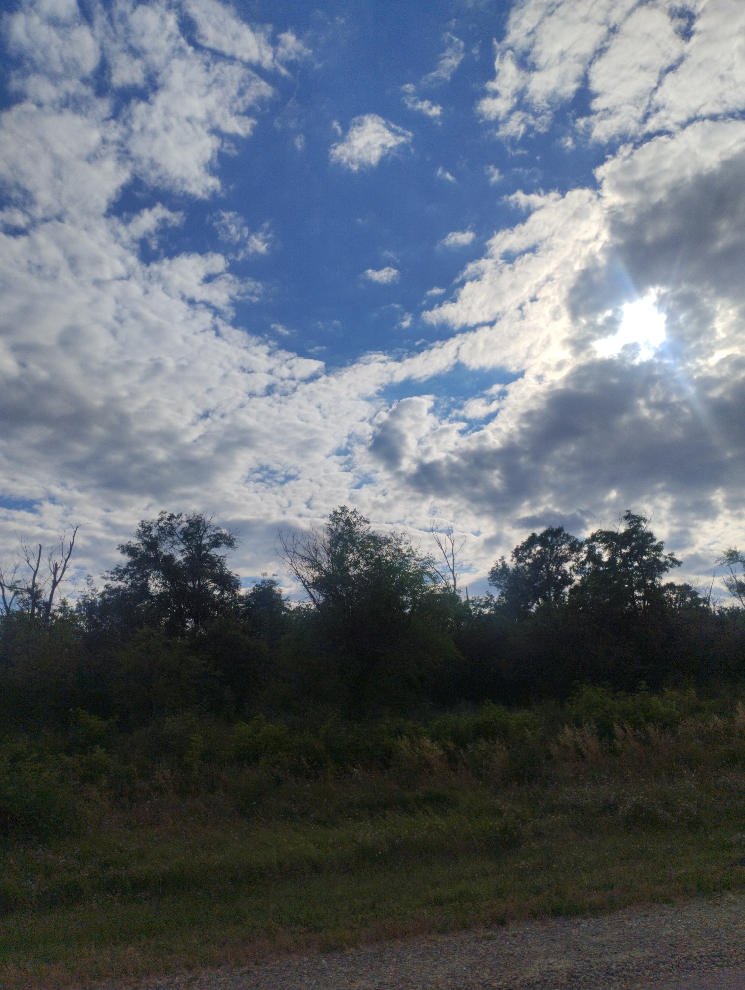 This vertical, medium-shot photograph captures a natural scene with a focus on the sky and a treeline. The upper two-thirds of the image is dominated by a dynamic sky filled with a mix of white, fluffy cumulus clouds and darker, more ominous grey clouds. Streaks of sunlight break through the clouds on the right side of the frame, creating a slightly hazy effect and indicating the sun is either rising or setting. The blue sky is visible in patches between the clouds.
The lower third of the image depicts a silhouetted treeline, forming a dark barrier against the sky. The trees are dense and appear to be a mix of deciduous and possibly some evergreens, with some bare branches of dead trees also visible among the foliage. Below the treeline, a grassy area with dry, tall grass and scattered wildflowers transitions into a rough, gravelly surface in the foreground, suggesting a roadside or pathway.
The overall impression is one of a natural landscape, likely in a rural or undeveloped area. The lighting suggests it's either early morning or late afternoon. The weather appears to be changeable, with both sunny and cloudy conditions present. There are no people or objects in the frame, and no visible text. The scene evokes a sense of peaceful solitude or the quiet beauty of nature. Given the location context of Donskoe, Russia, this could be a common view in the countryside during the warmer months.