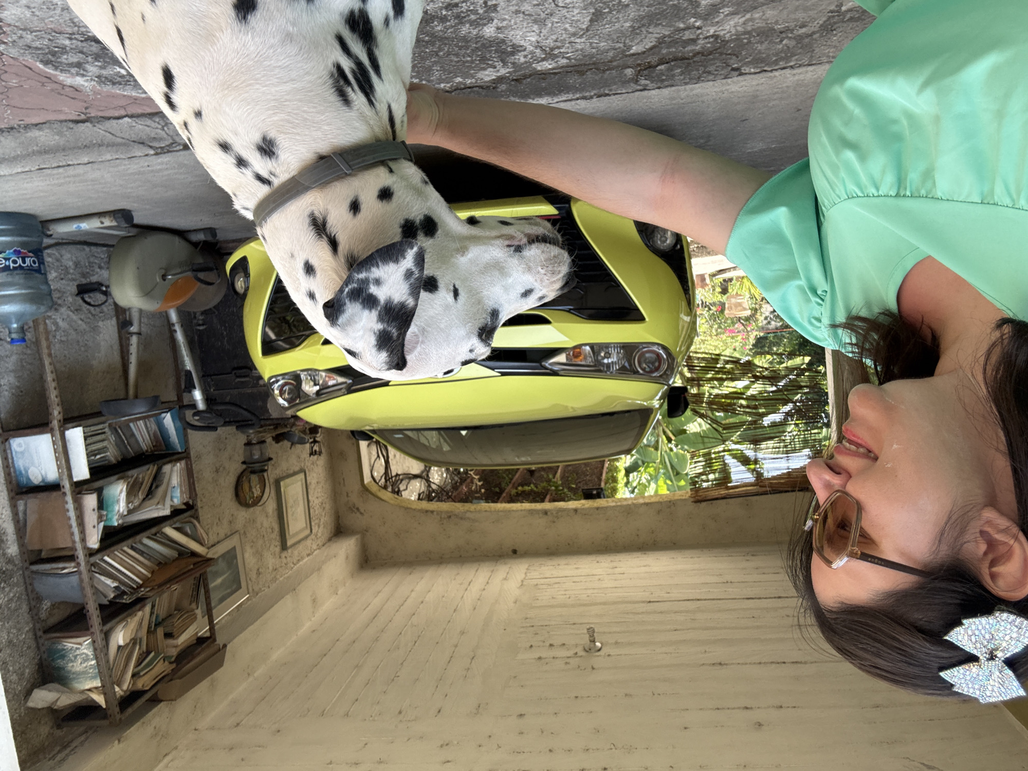 A Dalmatian dog, a person, and a yellow car are the main subjects in this daytime image, likely taken in Xochitepec, Mexico.
The Dalmatian, with its characteristic white fur and black spots, wears a grey collar and is positioned towards the left of the frame, with its head turned towards the front of the yellow car. The person, appearing to be a woman, is on the right side of the frame, seen from the chest up and in profile, looking towards the car and dog. She has dark hair, wears a mint green top, and has large, brown-tinted sunglasses resting on her head. A prominent, sparkly silver bow hair clip adorns the side of her head. Her expression suggests contentment, with a slight smile. Her arm extends forward, possibly interacting with the dog or resting near the car.
The car is a vibrant yellow, with its front grille and headlights clearly visible. The setting appears to be a semi-enclosed or garage-like area with concrete flooring. In the background to the left, there's a large, transparent water jug labeled "e-pura," alongside parts of what looks like a scooter or moped. Further left, a metal shelving unit is crammed with numerous old books, papers, and folders. To the right, behind the car, lush green foliage and trees are visible, hinting at an outdoor garden or natural setting. A textured wall in the background features a framed picture and an old-fashioned wall-mounted lantern. The overall lighting is bright, indicating daylight.
