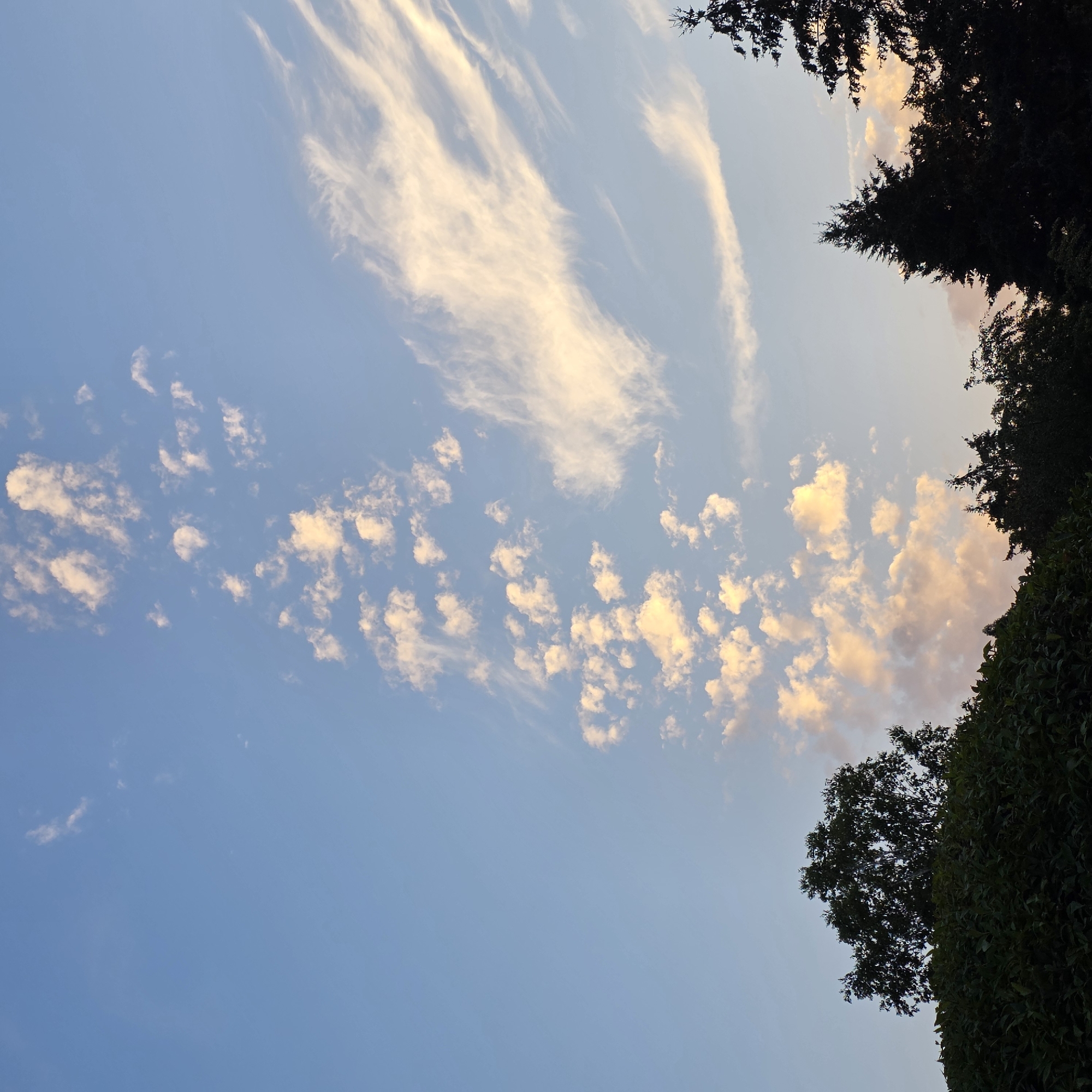 The image depicts a twilight sky with a few scattered clouds illuminated by the setting sun. The clouds are a mixture of fluffy cumulus clouds and wispy cirrus clouds, with the cumulus clouds appearing in a vertical string and tinged with pink and orange hues. In the foreground, the silhouettes of trees and lush green foliage create a dark border against the illuminated sky. The scene is likely captured from a vantage point in Portland, Oregon, United States of America, given the prevalence of lush vegetation and the characteristic sky colors observed during twilight in the Pacific Northwest. There are no people or actions visible in the image.