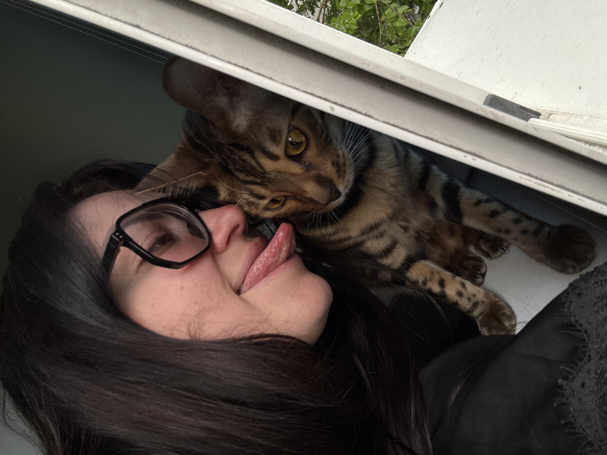 A woman with long, dark hair and glasses is lying down with her tongue sticking out near a Bengal cat. The cat is lying above her, looking down. They are positioned near a window frame, and there is some greenery visible outside.