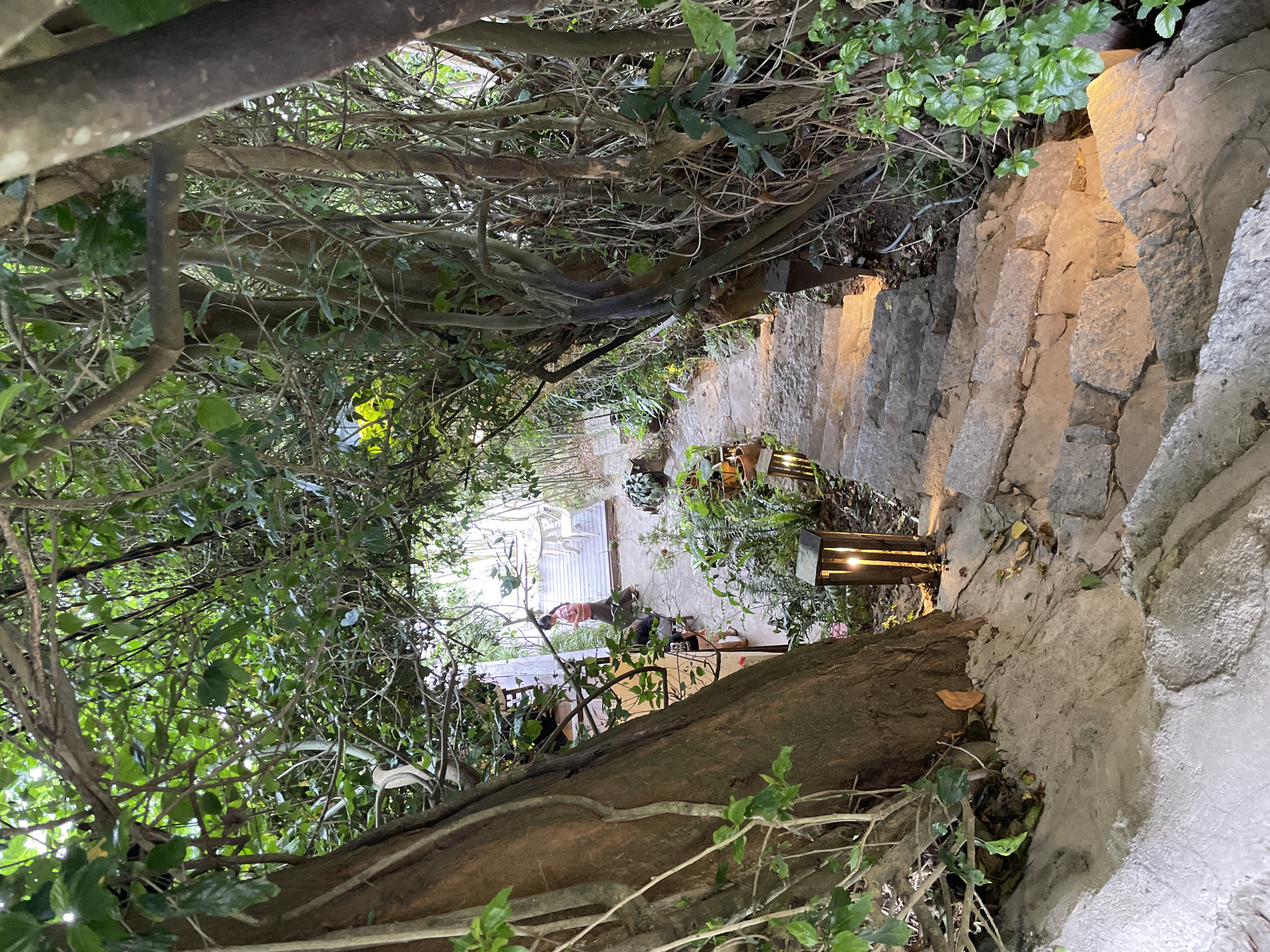An outdoor, stone staircase winds downwards amidst lush vegetation in Xuân Thành, Vietnam. The stairs are illuminated by a few strategically placed, wooden-cased, lantern-style lights, casting a warm glow on the textured stone. A large tree trunk dominates the left side of the frame, its bark rough and weathered. The pathway is bordered by dense foliage, with vines and branches creating a natural archway overhead. In the background, beyond the greenery, a woman in a pink and brown striped shirt is walking on a wooden deck, past a table and chairs. Another person, wearing dark clothing, is visible near a doorway to the left of the deck. The scene suggests a tranquil, possibly resort-like setting, designed to blend harmoniously with nature.