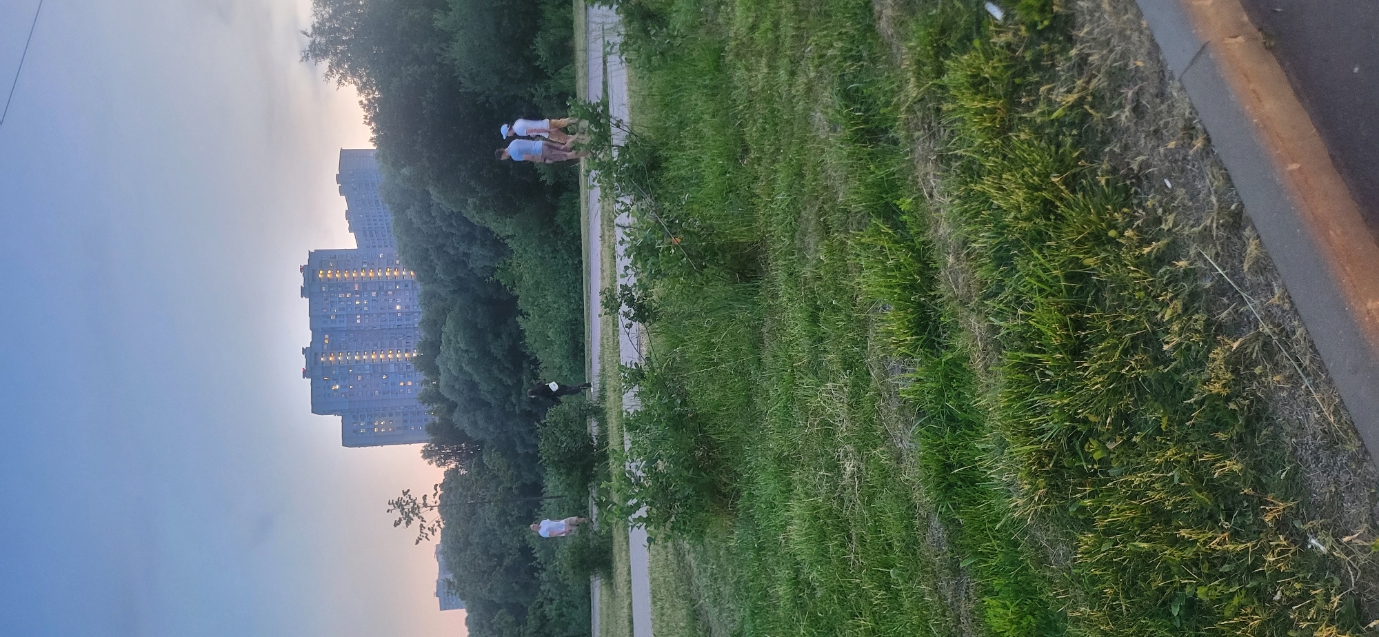 The image depicts an outdoor scene with several individuals walking on a paved path surrounded by lush green vegetation and trees. In the background, large, multi-story residential buildings are visible against a twilight sky. The lighting suggests it is late evening or early morning.
Specifically, the buildings in the background appear to be high-rise apartment complexes, characteristic of some residential areas in Moscow. The architecture and the presence of these structures strongly suggest the location is within the city of Moscow, Russia. The landscaping indicates a park or a green zone within a residential district.
There are four discernible individuals in the image:
1. A lone person in the middle ground, standing on the path, facing away from the camera, wearing dark clothing and a backpack.
2. Two individuals walking together in the middle ground, further to the right. One is wearing a light-colored t-shirt and shorts, and the other is wearing a blue t-shirt and shorts with a blue baseball cap.
3. A person walking alone in the middle ground, further to the left, wearing a white t-shirt and light-colored shorts, also facing away from the camera.
The environment is dominated by green grass, bushes, and trees, suggesting a temperate climate during a warmer season. The paved path is a clear pathway for pedestrians or cyclists. The overall atmosphere is serene, with the illuminated windows of the distant buildings hinting at the ongoing life within the city.