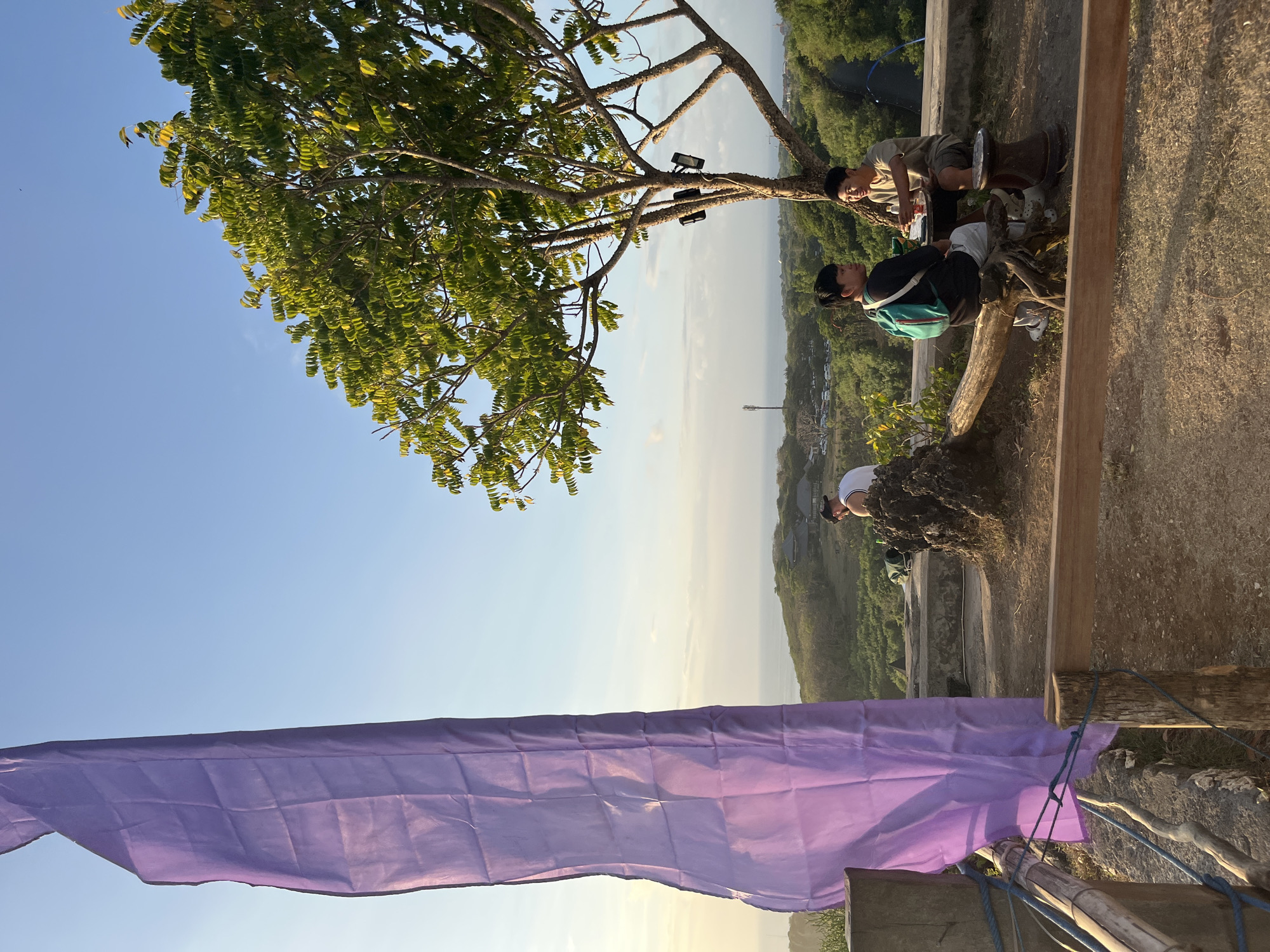 Three young men are sitting on a tree branch overlooking a scenic landscape. The man on the left is wearing a light brown t-shirt and dark shorts, and is holding a red cup. The man in the middle is wearing a dark t-shirt with a teal backpack, and is looking towards the right. The third man, on the right, is wearing a white t-shirt and a dark baseball cap, and is leaning forward, looking down.
The scene is set on a cliffside, with lush green foliage and buildings visible in the distance. A purple fabric hangs in the foreground, partially obscuring the view. The sky is clear and blue, suggesting it is daytime. The sunlight appears warm, indicating it could be late afternoon or early morning. The overall atmosphere seems relaxed and contemplative, with the men enjoying the view. The location is Kuta Selatan, Indonesia.