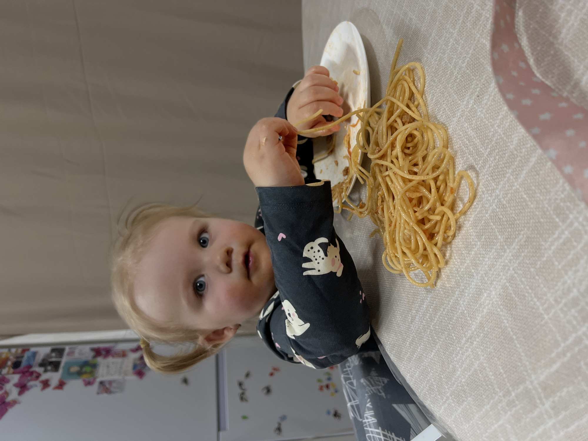 An indoor scene, situated in Leninakan, Russia, depicts a young blonde-haired child seated at a table. The child, with blue eyes and visible food residue on the face, is wearing a dark, long-sleeved garment patterned with white animals and small pink hearts. The child's hair is styled into two pigtails. Both hands, visibly soiled with food, are actively manipulating spaghetti. A portion of the spaghetti rests on a white disposable plate, while a larger quantity is spread directly onto a light beige tablecloth featuring a subtle grid pattern. In the left background, a white refrigerator is visible, adorned with multiple decorative magnets, including pink butterflies and small framed pictures. The background on the right consists of a plain, light brown fabric or wall. A dark grey component, consistent with a high chair or booster seat restraint, is partially visible on the left, and a pink and white polka-dotted ribbon is present in the lower right foreground.