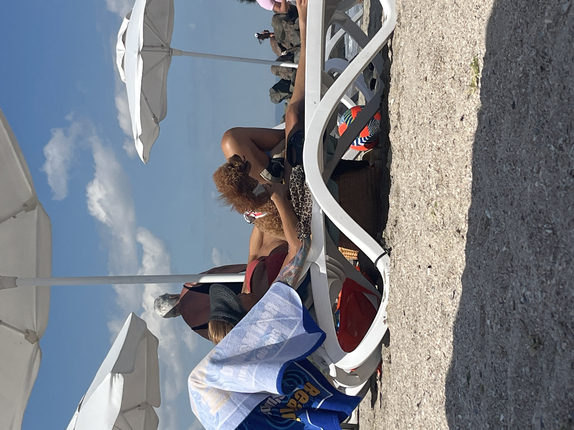 The image shows a sunny day at a beach in Pomorie, Bulgaria. Two people are relaxing on white beach chairs. In the foreground, a woman is lying down, with a colorful towel draped over her. A small, reddish-brown poodle is perched on her chest, facing her. Behind her, a person with gray hair is seated on another beach chair, facing away from the camera. The beach is covered in sand and small pebbles. In the background, there are large rocks, the sea, and a bright blue sky with scattered clouds. Two white beach umbrellas are visible, providing shade. A brightly colored ball is under the beach chair in the foreground.