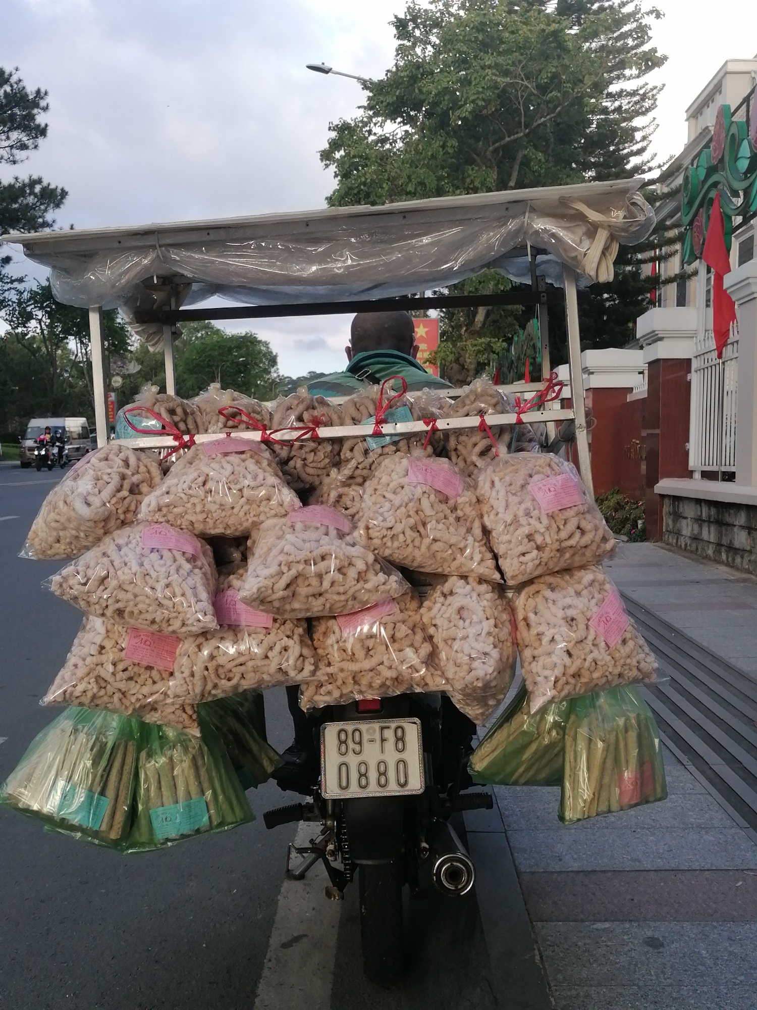 The image depicts a motorcycle loaded with bags of snacks, parked on a street in Da Lat, Vietnam. The motorcycle is equipped with a makeshift canopy covered in clear plastic sheeting, under which are numerous bags filled with light-colored, irregularly shaped food items. These bags are tied with red string and some have pink labels. Below these bags, two green plastic bags hold bundles of what appear to be green vegetables or plant stalks. The motorcycle has a license plate that reads "89-F8 0880". The driver, a person with short dark hair and wearing a green shirt, is partially visible from behind. The background shows a sidewalk, a building with decorative elements and red flags, trees, and a street with another vehicle and a person on a motorbike in the distance. The overall scene suggests a street vendor on the go.