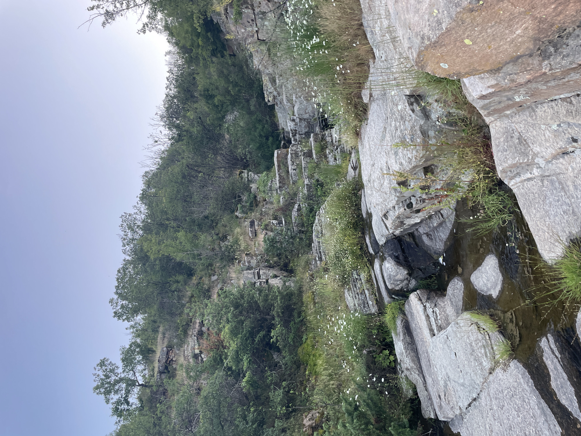 The image depicts a natural scene featuring a rocky stream flowing through a wooded area. The foreground is dominated by large, grey, weathered rocks, some of which are partially submerged in the shallow water of the stream. The water is calm and reflects the surrounding vegetation. Small green plants and white wildflowers grow along the edges of the stream and in the crevices of the rocks.
Further back, the stream bed becomes more pronounced, with stepped rock formations creating small cascades. The banks are covered in dense green foliage, including trees and shrubs. The terrain appears to be sloped, with rocky outcrops visible among the trees. The sky above is a pale blue, indicating either early morning or late evening light.
The location is identified as a stream in the vicinity of Suhovo, Bulgaria. The scene is serene and untouched, suggesting a rural or natural setting away from urban development. There are no people or animals visible in the image.