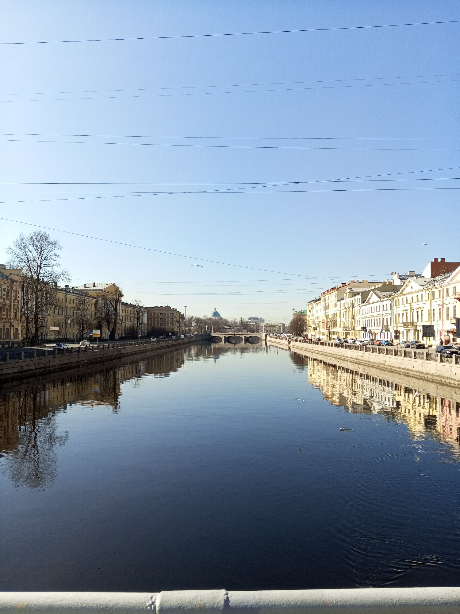 This image depicts a wide view of the Fontanka River in Saint Petersburg, Russia, looking southwest. The vantage point is from a bridge or embankment, with a textured, light-colored railing partially visible in the immediate foreground, spanning the bottom of the frame.
The central feature is the calm, dark blue-grey water of the Fontanka River, reflecting the clear, light blue sky and the architectural facades lining its banks. The sky occupies the top third of the image, marked by several thin, dark horizontal power lines. A single white bird is observed in flight high above the left embankment.
On both the left and right banks, multi-story historical buildings with classical architectural elements extend into the distance. The buildings on the left bank primarily exhibit light yellow and brown tones, featuring rows of windows and some bare deciduous trees along the embankment. Parked and moving vehicles are visible on the street bordering the river, which is delineated by a stone embankment and a dark metal fence.
The buildings on the right bank are predominantly white and light yellow, also featuring numerous windows and ornate detailing. Similar to the left, a street runs parallel to the river, with parked cars and faintly discernible pedestrians on the sidewalk. Reflections of these buildings are clear on the river's surface.
In the middle distance, a stone arch bridge, identified as Izmaylovsky Bridge, spans the Fontanka River. Beyond this bridge, a prominent light blue dome with gold ornamentation, belonging to the Trinity Cathedral, is visible against the horizon on the left side of the river. Further bridges and structures recede into the hazy distance. Several small white objects, likely birds, are present on the water's surface, particularly near the right bank and further to the left. The scene is illuminated by bright daylight, suggesting a clear day.