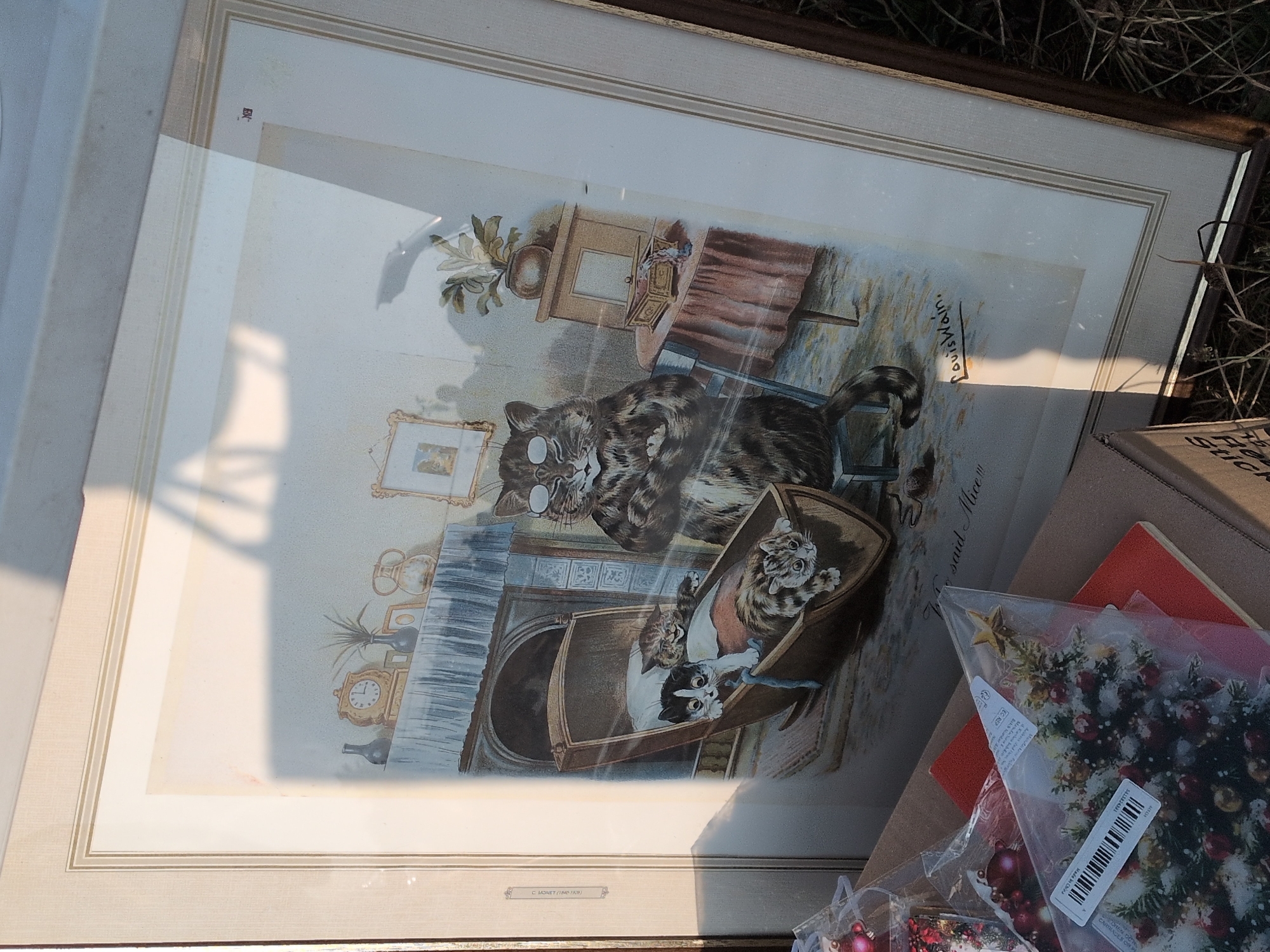 An framed print by Louis Wain, depicting anthropomorphic cats, is leaning against a cardboard box in an outdoor environment. The print features a large cat wearing spectacles, seated at a table with a pink tablecloth, and a cradle containing several kittens. A shadow falls across the print from an unseen object. The surrounding area is grassy with some dry vegetation. Part of a cardboard box with labels is visible in the foreground. The location is in Claverley, United Kingdom.