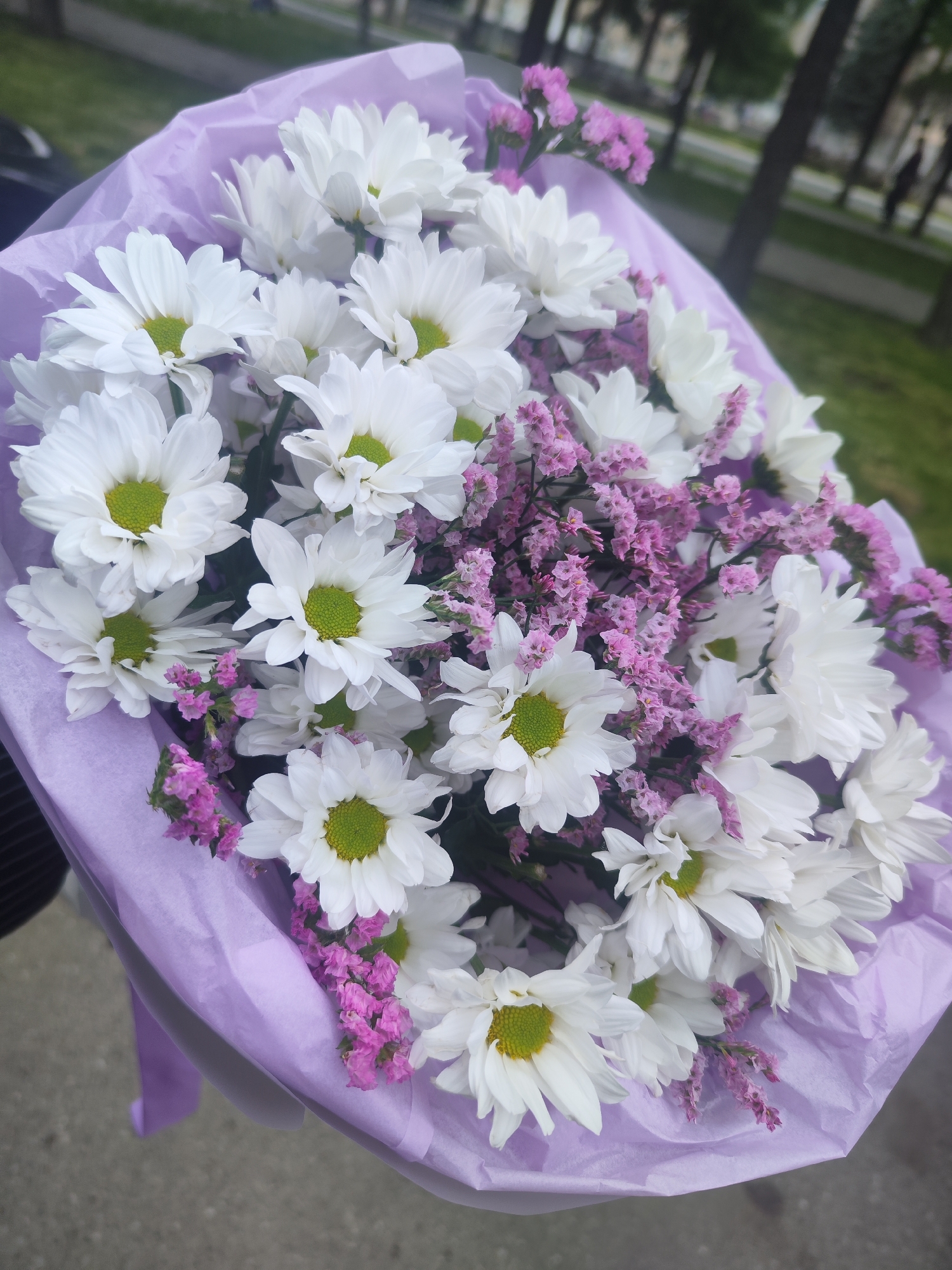 A bouquet of white chrysanthemums with green centers and small purple flowers is wrapped in light purple paper. The photograph was taken outdoors on what appears to be a city street or park. A blurry background shows trees and possible buildings in a typical urban environment. Though it's claimed to be in Chaikovsky, Russia, the imagery alone cannot confirm the location. There are no people visible in the foreground, though blurred figures can be seen in the background. The primary subject is the bouquet of flowers.