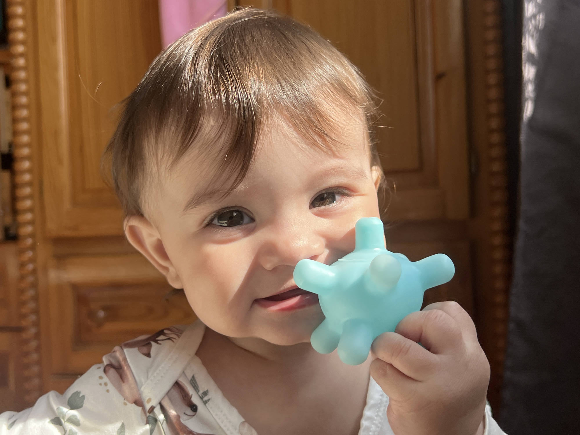 An infant with light brown hair and dark eyes is depicted in a close-up, eye-level indoor portrait. The infant, wearing a light-colored garment with a printed pattern of foliage and animal motifs, faces forward with a slight smile, tongue visible. The infant holds a light blue, multi-pronged silicone teething toy in their right hand, positioned near the upper lip and nose. Direct lighting from the left casts distinct shadows across the infant's face and the toy. The background features polished wooden furniture, likely a cabinet or door, with decorative paneling and a dark vertical element on the far right. The specific location in the city of Elena, Bulgaria, cannot be determined from the visual evidence.
