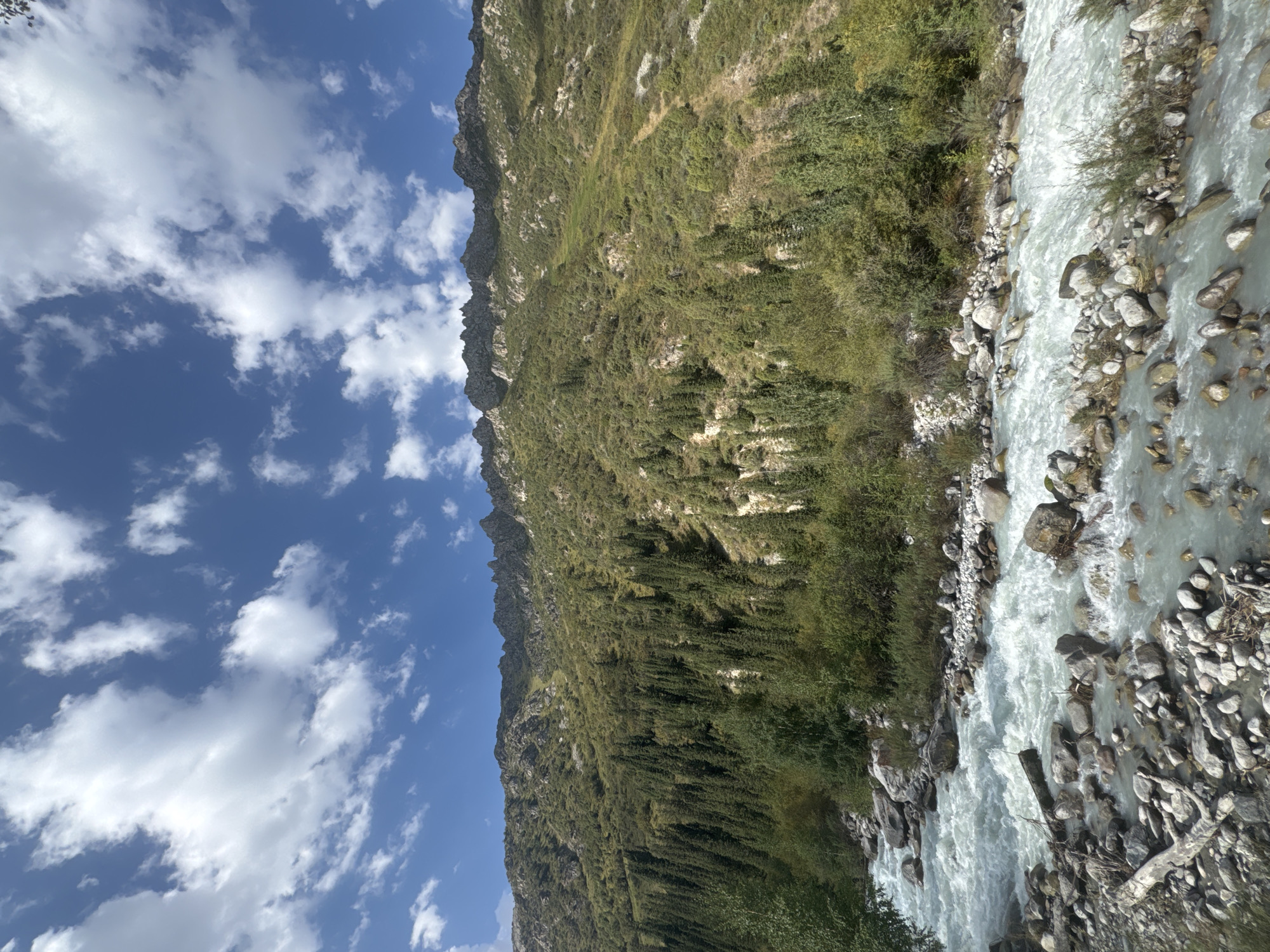 The image depicts a natural landscape in an unknown location in Kyrgyzstan. In the foreground, a fast-flowing, turquoise river rushes over a bed of large, grey stones and smaller pebbles. Some driftwood is visible in the river. The riverbanks are lined with rocks and dense green vegetation, including bushes and trees.
The middle ground is dominated by a steep, heavily forested mountainside. The forest consists primarily of tall, dark green coniferous trees, interspersed with patches of lighter green shrubs and rocky outcrops.
The background features the jagged, rocky peaks of a mountain range, their sharp silhouettes cutting against a bright blue sky filled with scattered, fluffy white clouds. The overall impression is one of a wild, mountainous environment with a powerful river flowing through it.