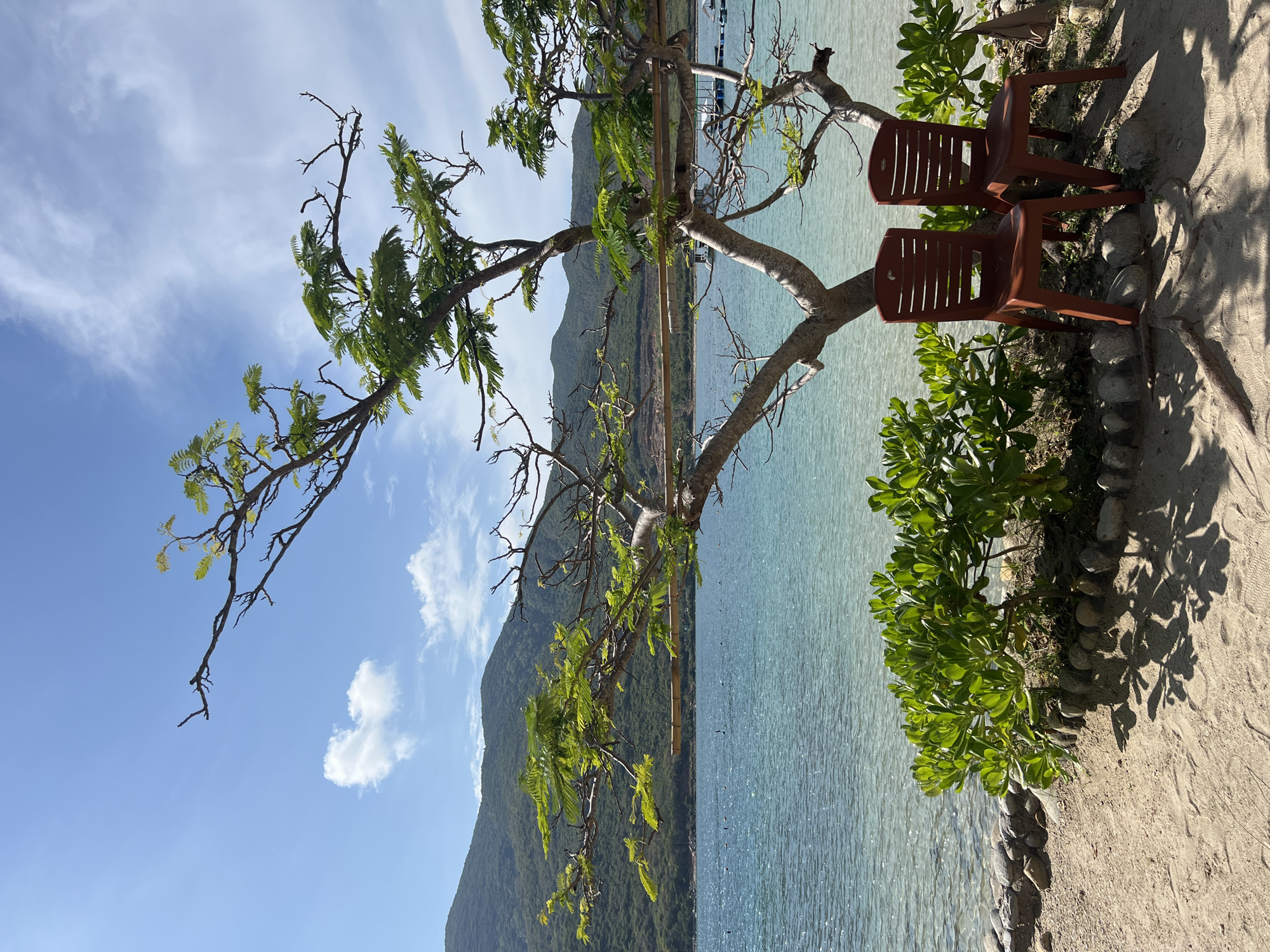 The image depicts a coastal scene in Nha Trang Ward, Vietnam. Two brown plastic chairs are positioned on a sandy beach alongside lush green bushes and a tree with sparse leaves. The tree branches extend towards the turquoise sea and a distant mountain. The sky is blue with scattered clouds. A bamboo fence runs horizontally across the middle ground of the frame.