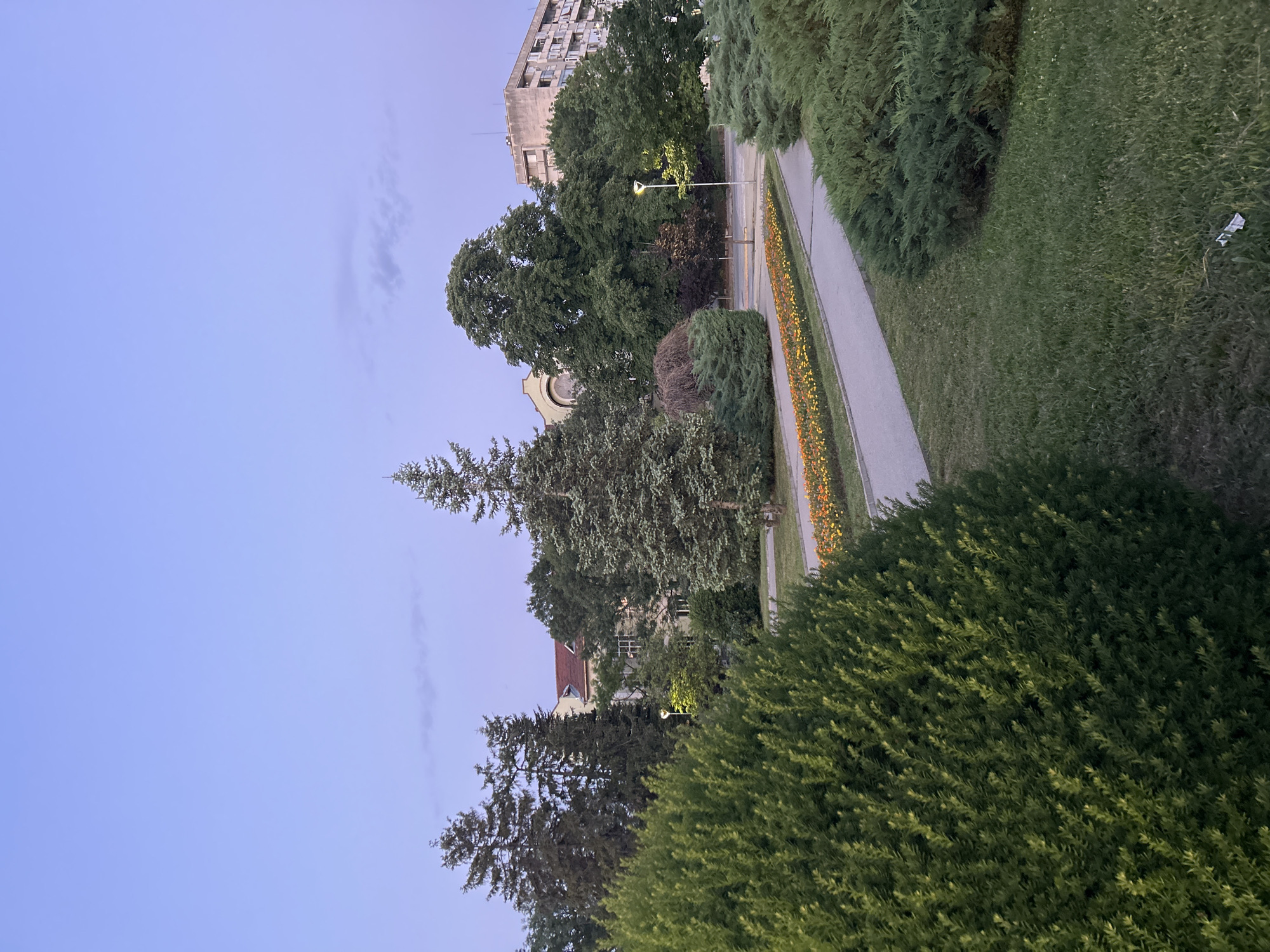 The image depicts a park scene in Ruse, Bulgaria, likely at dusk due to the soft, purple-hued sky and muted lighting. In the foreground, a lush, dark green bush dominates the left side of the frame. A paved walkway curves through the park, bordered on one side by a flower bed filled with vibrant orange and yellow blossoms. Beyond the walkway, more manicured bushes and manicured grass are visible. In the mid-ground, a tall, slender evergreen tree stands prominently, flanked by other trees of varying shapes and sizes. Behind the trees, buildings are visible, including a light-colored building with a red roof and a taller, more modern concrete apartment building with visible windows. A streetlamp with a lit bulb stands near the walkway, casting a warm glow. The overall atmosphere is serene and tranquil, suggesting a public park within a city environment.