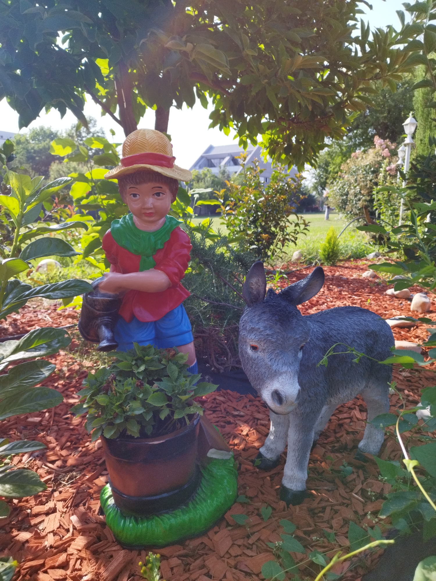This is a medium shot, eye-level, outdoor photograph of garden statuary. In the foreground on the left is a figurine of a young boy wearing a yellow straw hat with a red band, a red shirt, a green scarf, and blue shorts. He is holding a dark watering can, poised as if to water a potted plant in front of him. The pot is brown with a dark band and sits on a green, grassy base. To the right of the boy is a gray figurine of a donkey, standing and looking towards the left. The ground is covered in reddish-brown wood mulch. In the background, there is lush green foliage from trees and bushes, with a lawn and a building visible in the distance. The lighting suggests it is daytime, with sunlight filtering through the leaves. There is no discernible location in Bucharest, Romania, in this image.