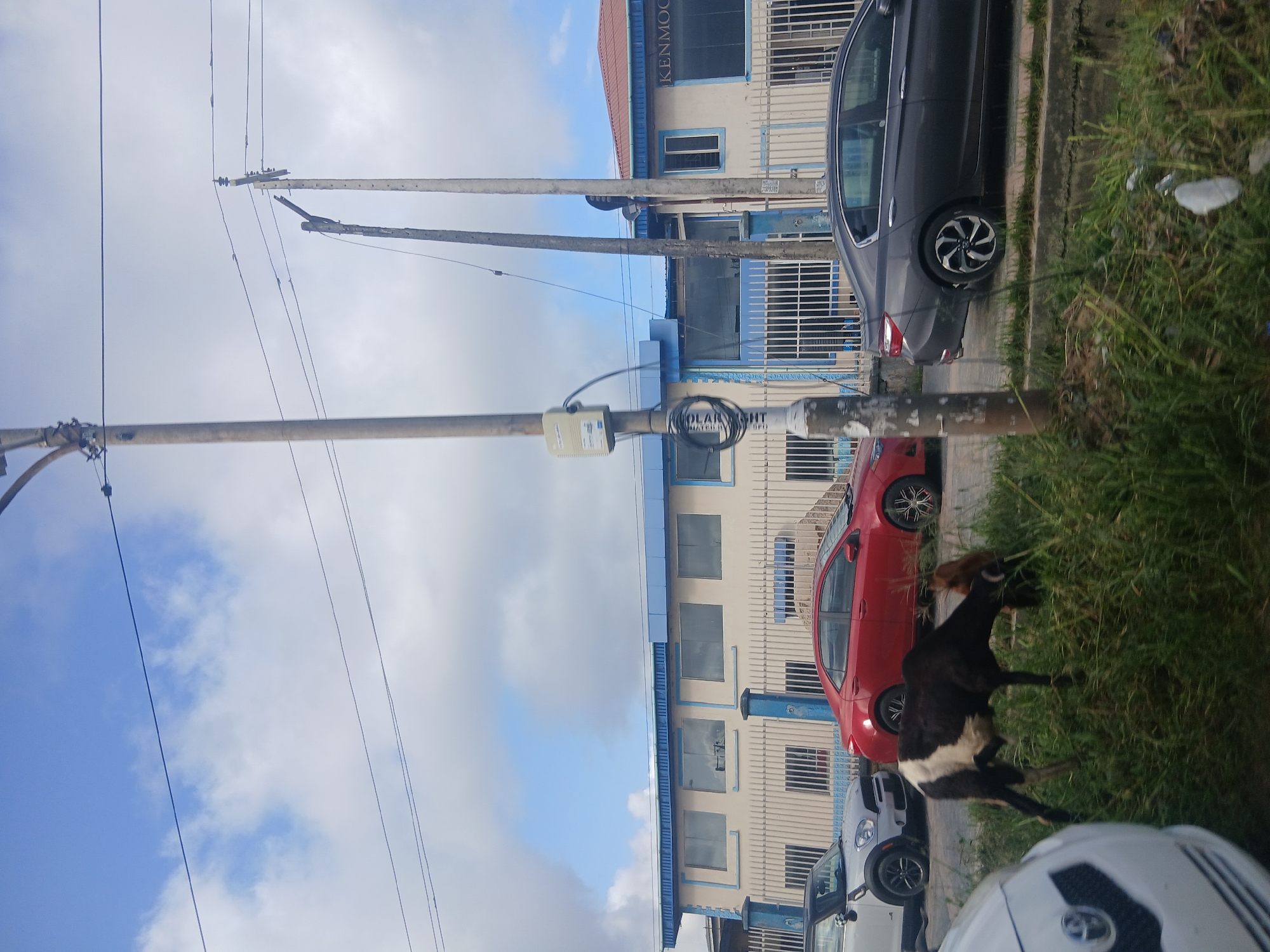 In Isunba, Nigeria, a black and white goat grazes on the side of a road, obscured by tall green grass. Several cars are parked on the street, including a red sedan, a dark grey sedan, and a silver and white compact car. Behind the cars, a light-colored building with blue trim runs along the street. The building has several windows and a metal fence in front of it. Overhead, a utility pole with wires runs across the frame, and power lines crisscross the sky, which is filled with white clouds.