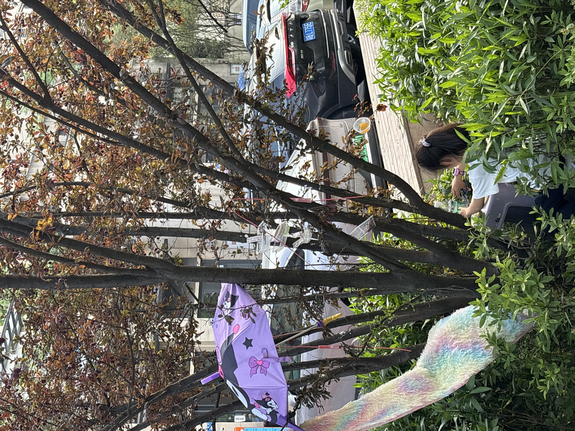 A young girl stands near a vehicle parked on a city street in Jiangjin, China. She is positioned near dense green foliage. A tree with sparse, reddish-brown leaves dominates the left of the frame. Items are suspended from the tree, including a purple cartoon-themed umbrella and a pastel-colored, furry object. Multiple vehicles are visible in the background.