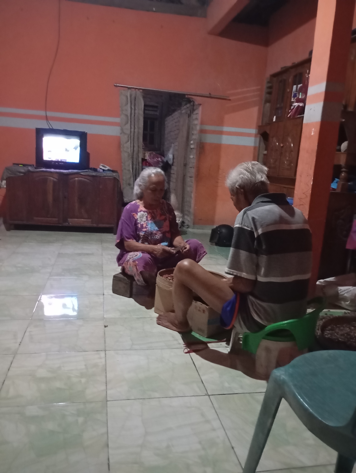 In the city of Ketepung, Indonesia, an elderly couple sits in a room with orange walls and tiled floors. The man, wearing a striped shirt and blue shorts, is seated on a green plastic chair, his legs extended. He appears to be sorting through a container of small brown items, possibly coffee beans or nuts. The woman, dressed in a purple floral outfit, is seated on a wooden block to his left. She is also holding a small item in her hands, possibly engaged in a similar activity. A television is visible on a wooden cabinet to the left of the frame, and a wooden wardrobe stands against the right wall. The scene appears to be a domestic setting, illuminated by artificial light.