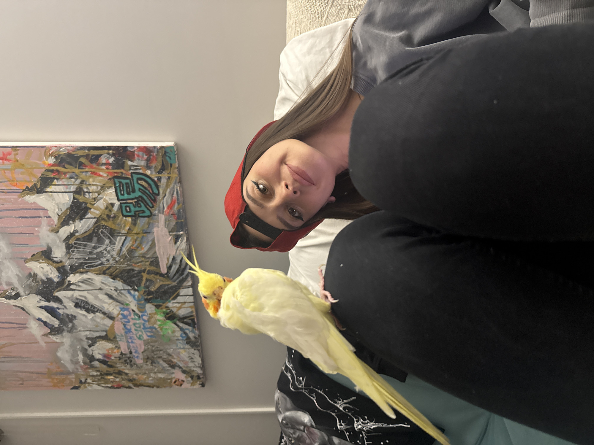 A young woman with long brown hair, wearing a red cap backward, a grey hoodie, and dark pants, is captured indoors. She is looking upwards and slightly to her right, offering a gentle smile to the camera. Prominent black eyeliner accentuates her eyes. A light yellow cockatiel with distinct orange cheek patches is perched comfortably on her left leg or thigh.
The setting appears to be a casual indoor environment, possibly a bedroom or living room, suggested by the light-colored, textured headboard or cushion behind the woman and a visible white pillow. On the wall behind them hangs a colorful, abstract painting. This artwork features a blend of white, black, gold, pink, and blue brushstrokes and textures. Within the painting, there are several ambiguous graphic or textual elements, including a noticeable light blue, blocky symbol in the upper right area that vaguely resembles stylized Chinese characters. Other pastel-colored, blocky shapes are also visible elsewhere on the canvas.
The image captures a calm and pleasant moment of interaction between the woman and her pet bird. The general lighting suggests an indoor shot, with no specific cues for the time of day. This scene is located in Krasnoyarsk, Russia.