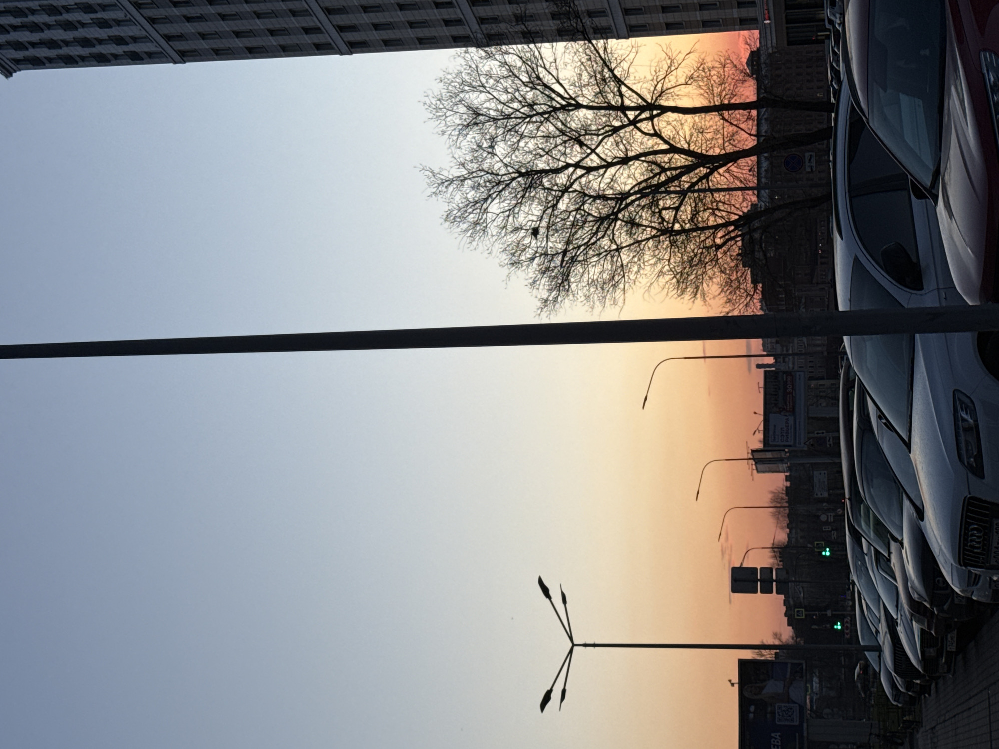 The image shows a street scene at dusk in Saint Petersburg, Russia. A line of parked cars occupies the right side of the frame. Beyond the cars are streetlights and buildings silhouetted against a sunset sky, with colors ranging from orange near the horizon to a paler blue higher up. A bare tree branch extends into the sky near the top of the image. A tall building looms above on the left side of the image. A utility pole runs diagonally across the foreground, partially obscuring the view.