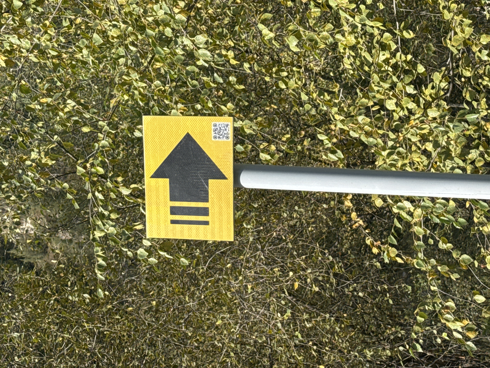 A yellow directional sign with a black arrow pointing right and three vertical black bars is mounted on a gray pole. A QR code is visible on the bottom right corner of the sign. The sign is set against a backdrop of dense green foliage. The image appears to have been taken outdoors during the day.