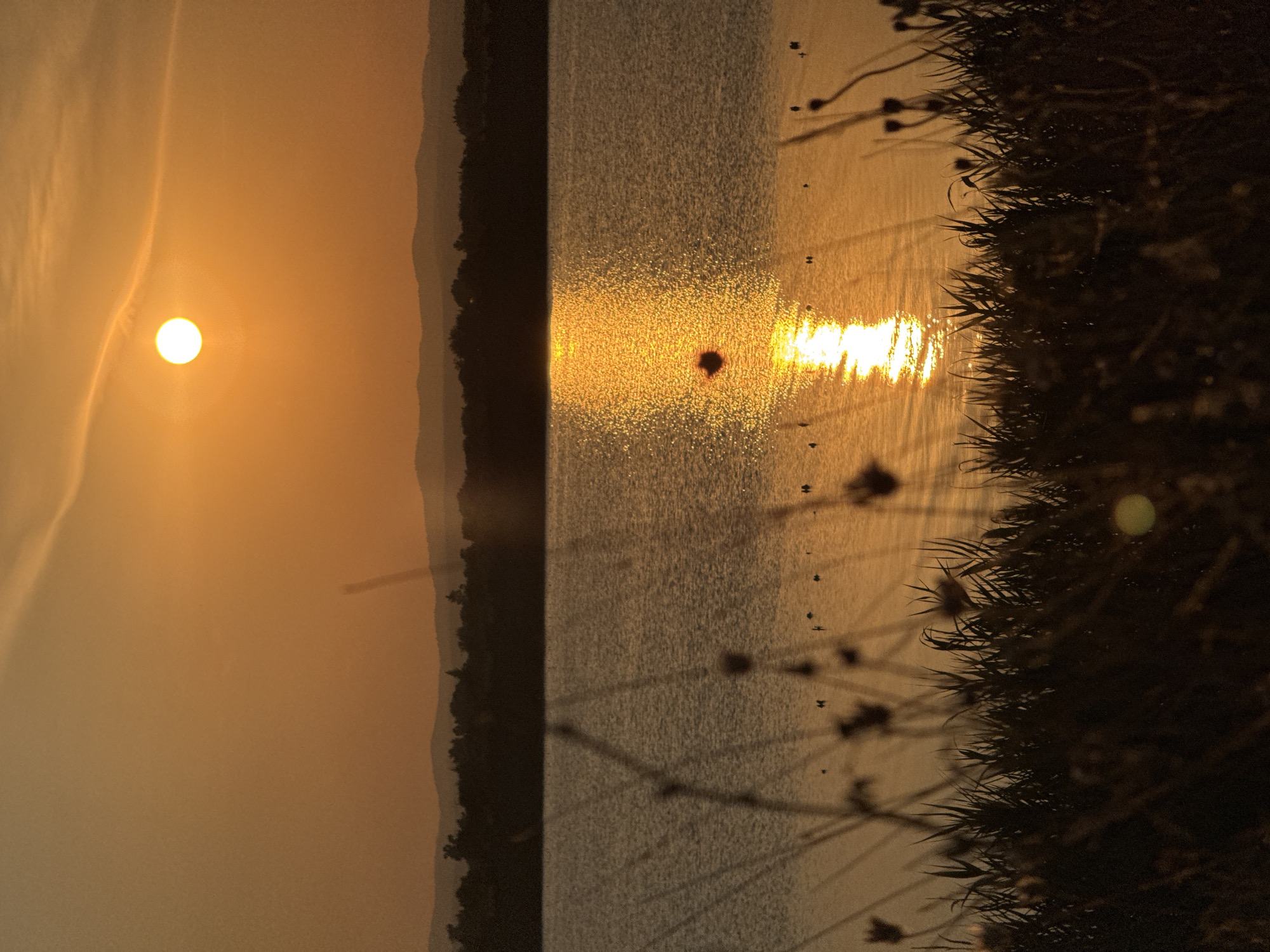 The image depicts a serene sunset over a body of water, likely the Pomorie Lake in Pomorie, Bulgaria. The sun, a bright orb of orange, is positioned in the upper right quadrant of the frame, casting a brilliant reflection on the rippling water below. The water's surface is dotted with small dark shapes that appear to be birds. In the foreground, silhouetted against the sunset, is a dense growth of dry grass and reeds, adding a sense of depth and texture to the scene. Beyond the water, a dark, tree-lined horizon stretches across the frame, with undulating hills visible in the distance. The overall atmosphere is tranquil and picturesque, characteristic of a coastal sunset.