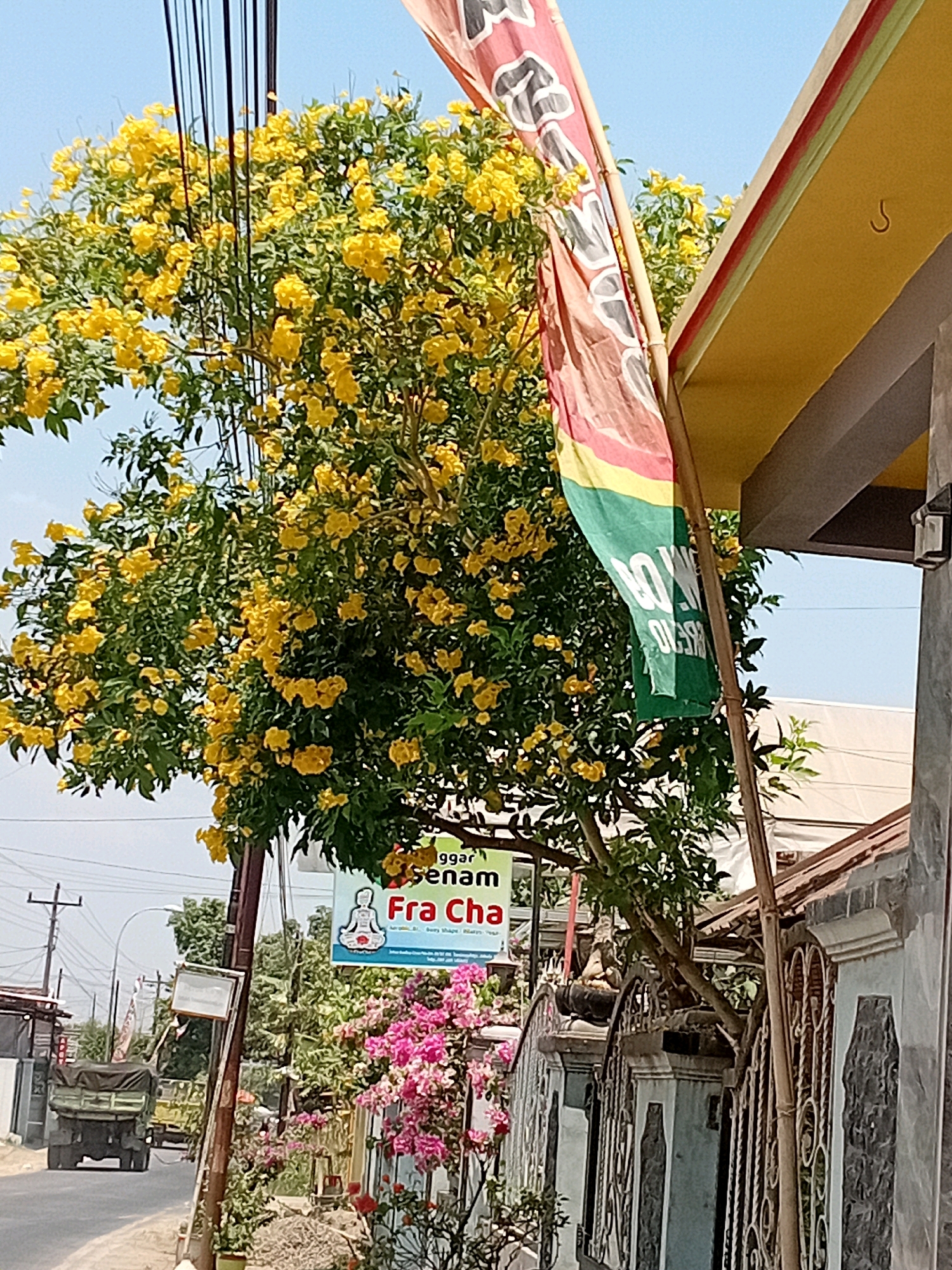 The image depicts a street scene in Tanjungrejo, Indonesia, featuring a vibrant yellow flowering tree in the foreground, laden with blossoms. To the right of the tree, a building with a yellow overhang and a grey textured wall is visible. A flag with red, yellow, and green stripes is attached to a bamboo pole, partially obscuring the tree and the building. In the background, power lines crisscross the sky, and a truck is driving down the road. A sign for "Iggar Senam Fra Cha" with an illustration of a person in a yoga pose is also present. Pink flowers are blooming near the base of the yellow tree, and a decorative fence runs along the side of the building. The overall environment suggests a sunny day in a populated area.