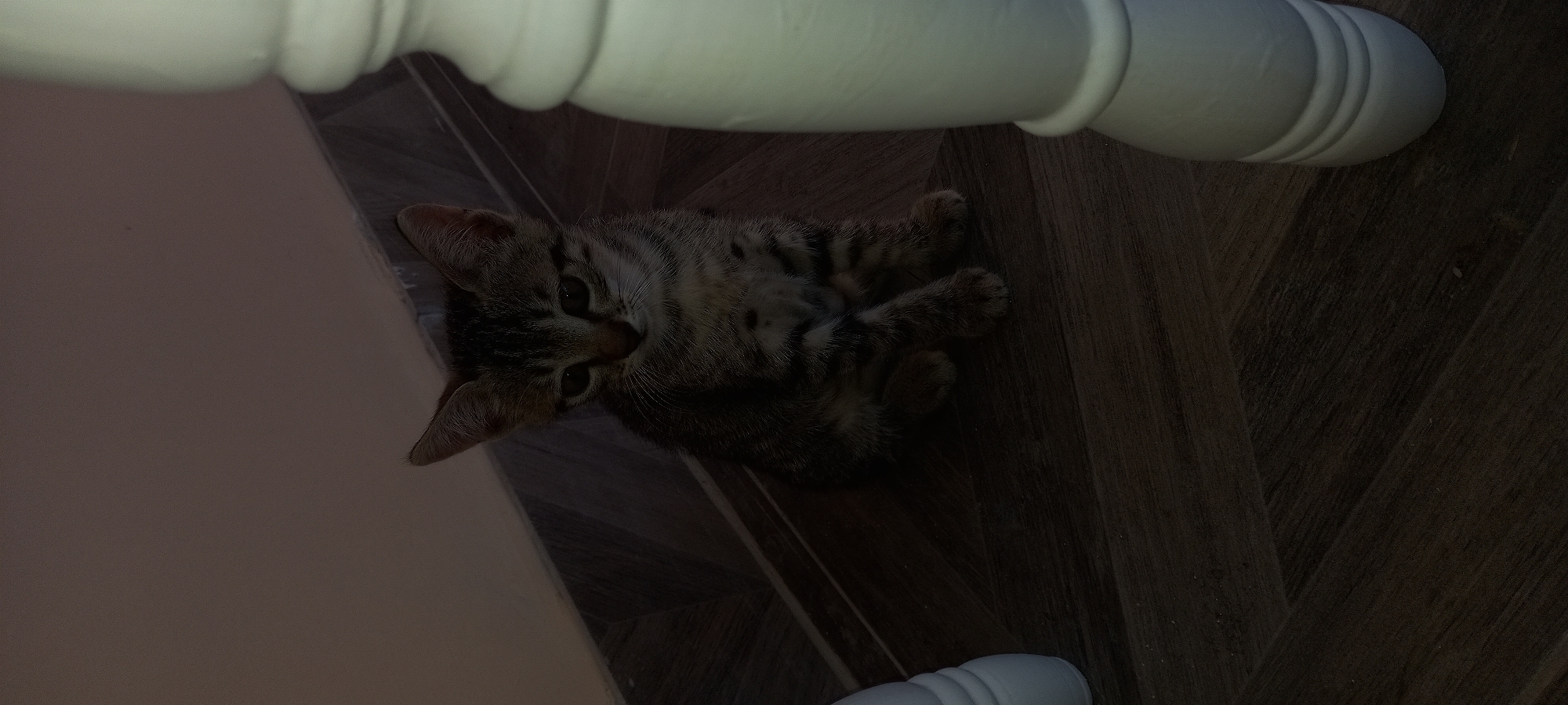 This is a close-up, angled shot of a tabby kitten lying on its side on a wooden floor. The kitten is mostly in shadow, but its striped fur, large ears, and dark eyes are visible. It appears relaxed, with its paws slightly curled. The background consists of a light-colored wooden floor with a distinct grain pattern. Part of a white, curved object, possibly furniture or a pillar, runs along the top of the frame, also casting a shadow. The lighting suggests an indoor setting, likely during the day, with a potential light source from the upper left, indicated by the bright highlight on the white object. The overall mood is peaceful and domestic. No visible text is present. The location context of Çatalca, Turkey, does not provide further visual cues within the image itself.