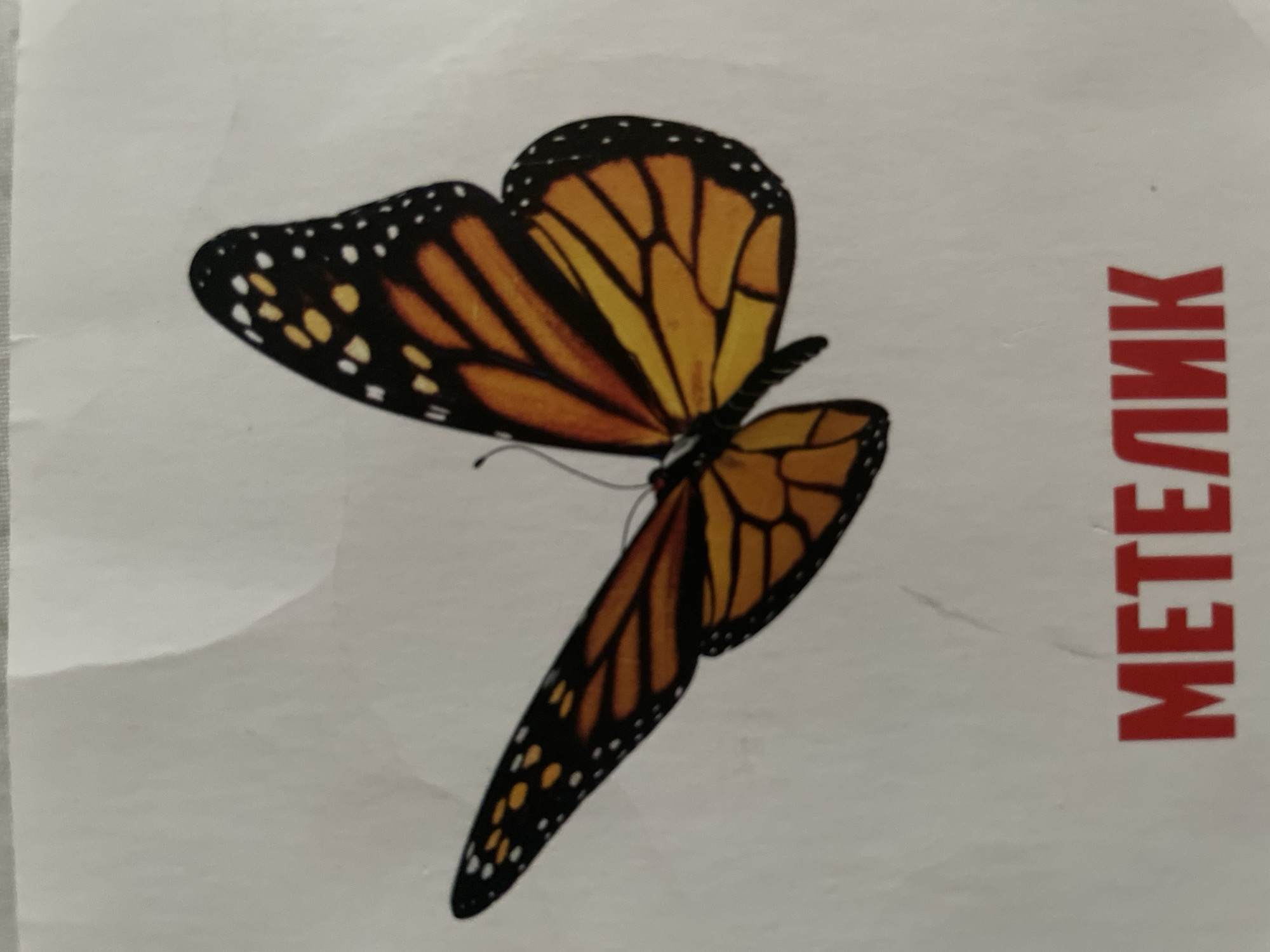 The image shows a monarch butterfly on a white surface. Below the butterfly, red Russian text reads "МЕТЕЛИК", which translates to "butterfly". The butterfly is depicted with its wings spread, showcasing the characteristic orange, black, and white patterns. The background is a plain white surface, likely paper or fabric. The lighting is even, suggesting an indoor setting or an overcast day. There is no visible city or environmental context.