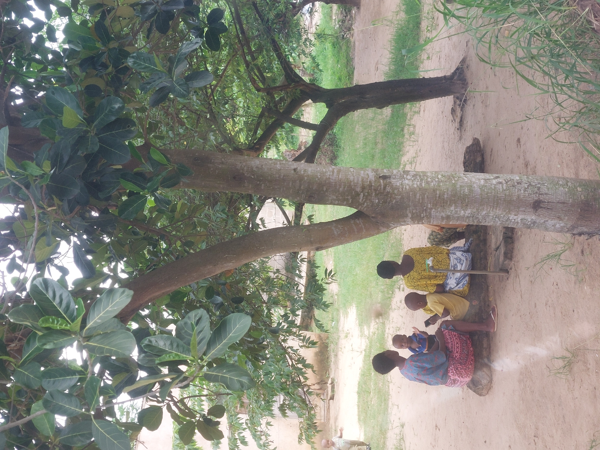 A group of four people (three adults and one child) sit together on a long, horizontal tree trunk. The group is outdoors. One adult is wearing a yellow patterned shirt, another a blue patterned shirt with red trim, and the child a yellow shirt. The other adult's attire is partially obscured. A fallen tree branch lies across their laps. The background consists of sandy ground with patches of grass and other greenery. Trees are also present, including a large tree with broad leaves at the left of the image. In the distance are building-like structures. The location is likely Dar es-Salaam, Tanzania.
