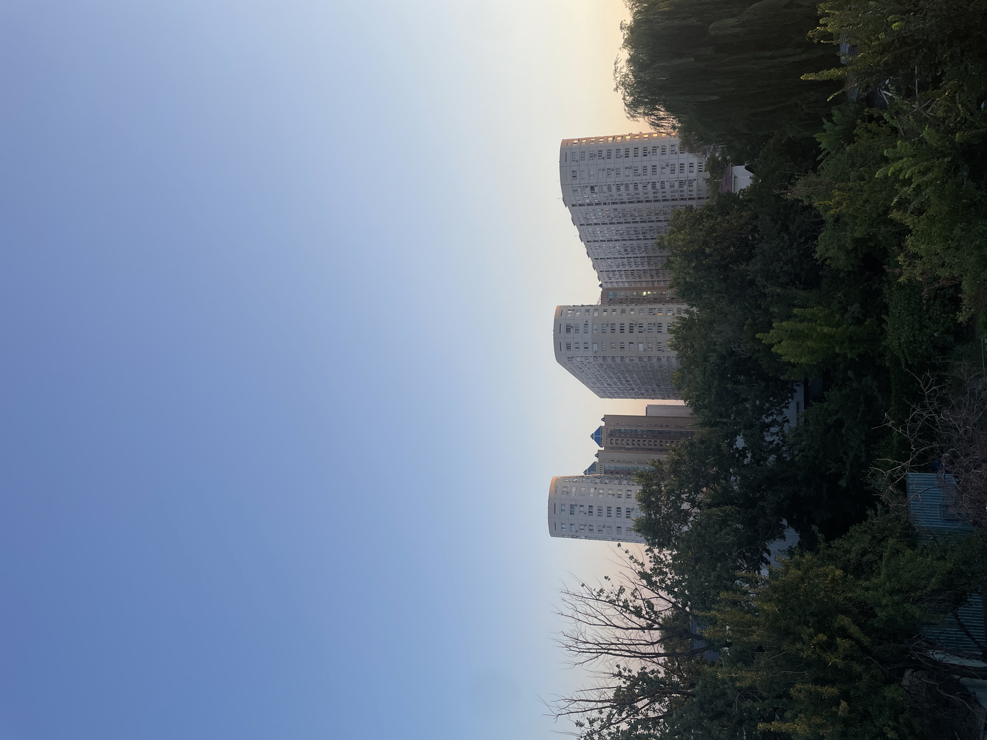 The image depicts a cityscape with residential buildings in the background and lush greenery in the foreground. The sky is clear and blue, with a hint of sunset colors near the horizon. Several tall, multi-story buildings with a light-colored facade are visible, featuring numerous windows. These buildings appear to be apartments or condominiums. In front of the buildings, a dense canopy of trees and other vegetation obscures the lower parts of the structures, suggesting a park or a residential area with significant landscaping. Some bare tree branches are also visible, indicating a possible seasonal change. A small white house with a red roof is partially visible amidst the trees. The overall scene suggests a residential area within a city, possibly Almaty, Kazakhstan, given the architectural style of the buildings and the presence of vegetation. There are no people or vehicles visible in the frame. The lighting indicates it is either early morning or late afternoon.