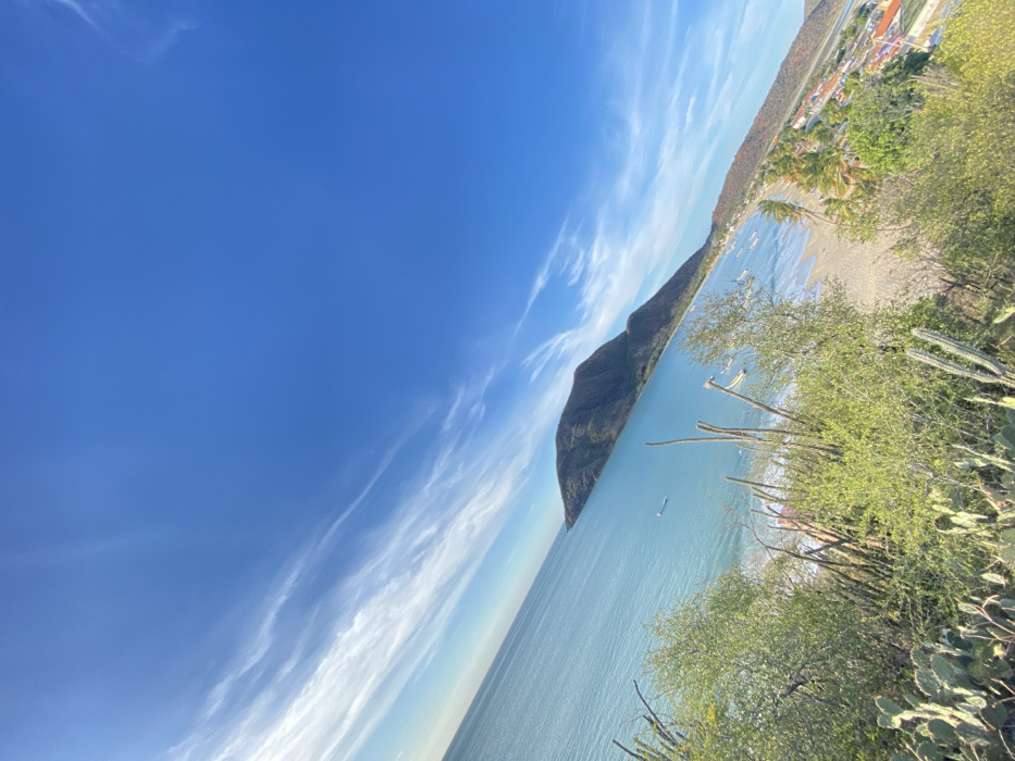 The image displays a panoramic, high-angle view of a coastal environment in Juan Griego, Venezuela, captured with a tilted horizon. The upper two-thirds of the frame are dominated by a clear, bright blue sky with wispy white cirrus clouds. The lower portion reveals a bay with calm, light blue-turquoise water.
A large, dark green to brown mountainous landmass, possibly Cerro El Morro, extends into the water from the mid-ground, forming a headland that defines the bay. Numerous small boats are visible within the bay, appearing to be anchored or floating. Along the right side of the bay, a sandy beach transitions into an urbanized area with multiple buildings featuring red-tiled roofs, interspersed with green foliage including palm trees. This settlement extends along the base of a less prominent, reddish-brown hill.
The immediate foreground is characterized by arid, scrubby vegetation, including various cacti species and low-lying bushes, indicating the elevated viewpoint is from a dry, vegetated hillside overlooking the bay. No individuals or specific actions are discernible. The scene is static, illuminated by clear daylight.