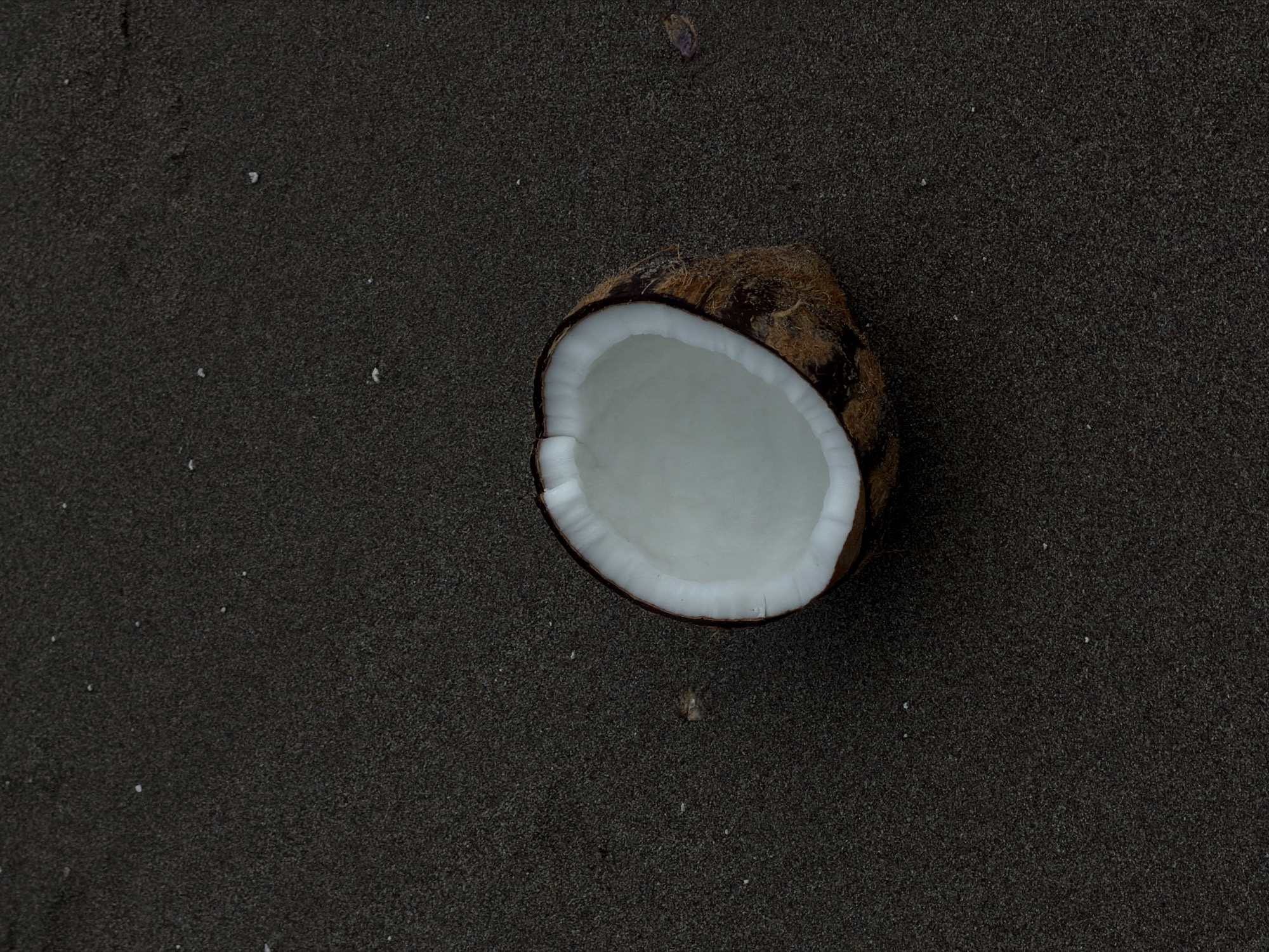 A halved coconut rests on dark, grainy sand, its white flesh facing upwards. The coconut is positioned slightly off-center to the right, with its rough, brown exterior visible. The sand appears damp, with scattered tiny white particles and one small, reddish-brown object in the distance. The scene suggests a beach environment in North Kuta, Indonesia.